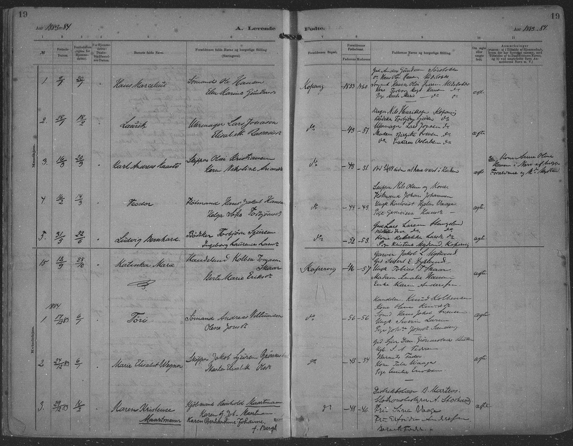 Kopervik sokneprestkontor, SAST/A-101850/H/Ha/Haa/L0001: Parish register (official) no. A 1, 1880-1919, p. 19