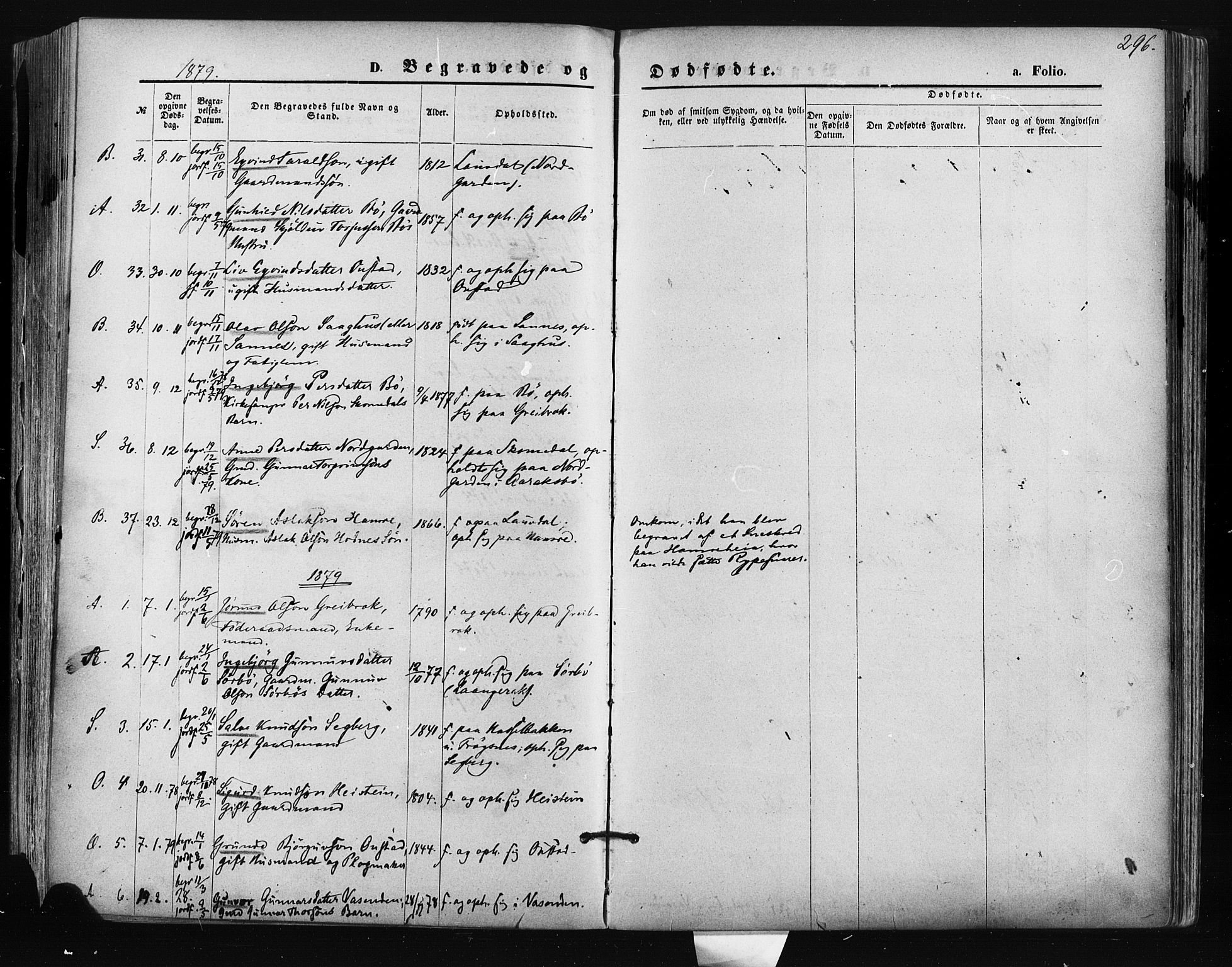 Bygland sokneprestkontor, AV/SAK-1111-0006/F/Fa/Fab/L0006: Parish register (official) no. A 6, 1873-1884, p. 296