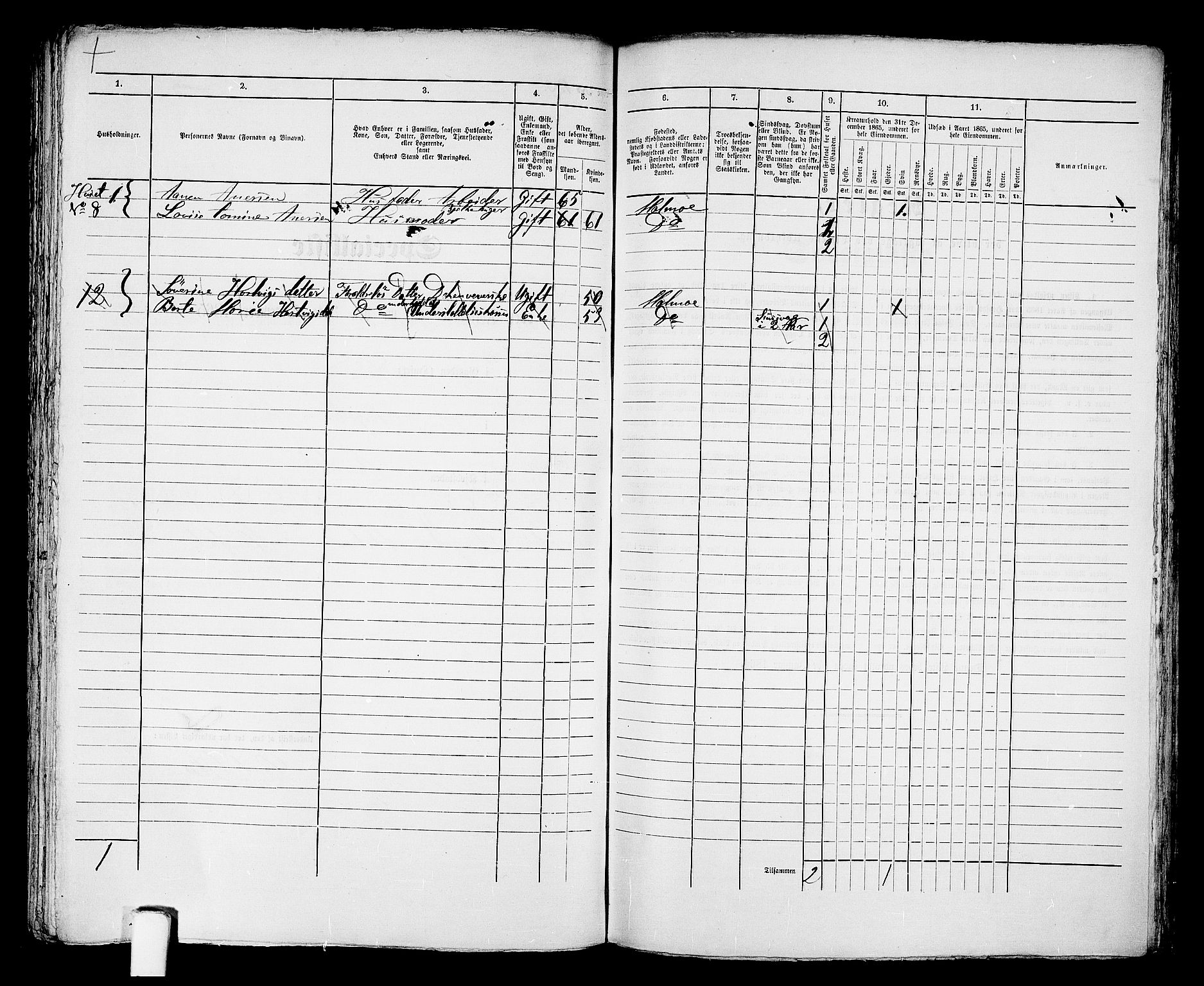 RA, 1865 census for Mandal/Mandal, 1865, p. 819