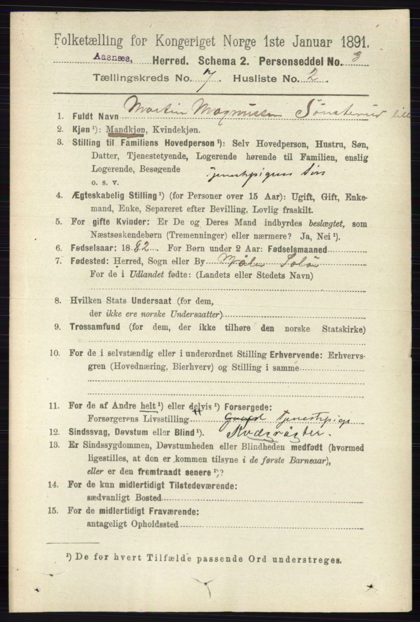 RA, 1891 census for 0425 Åsnes, 1891, p. 3379