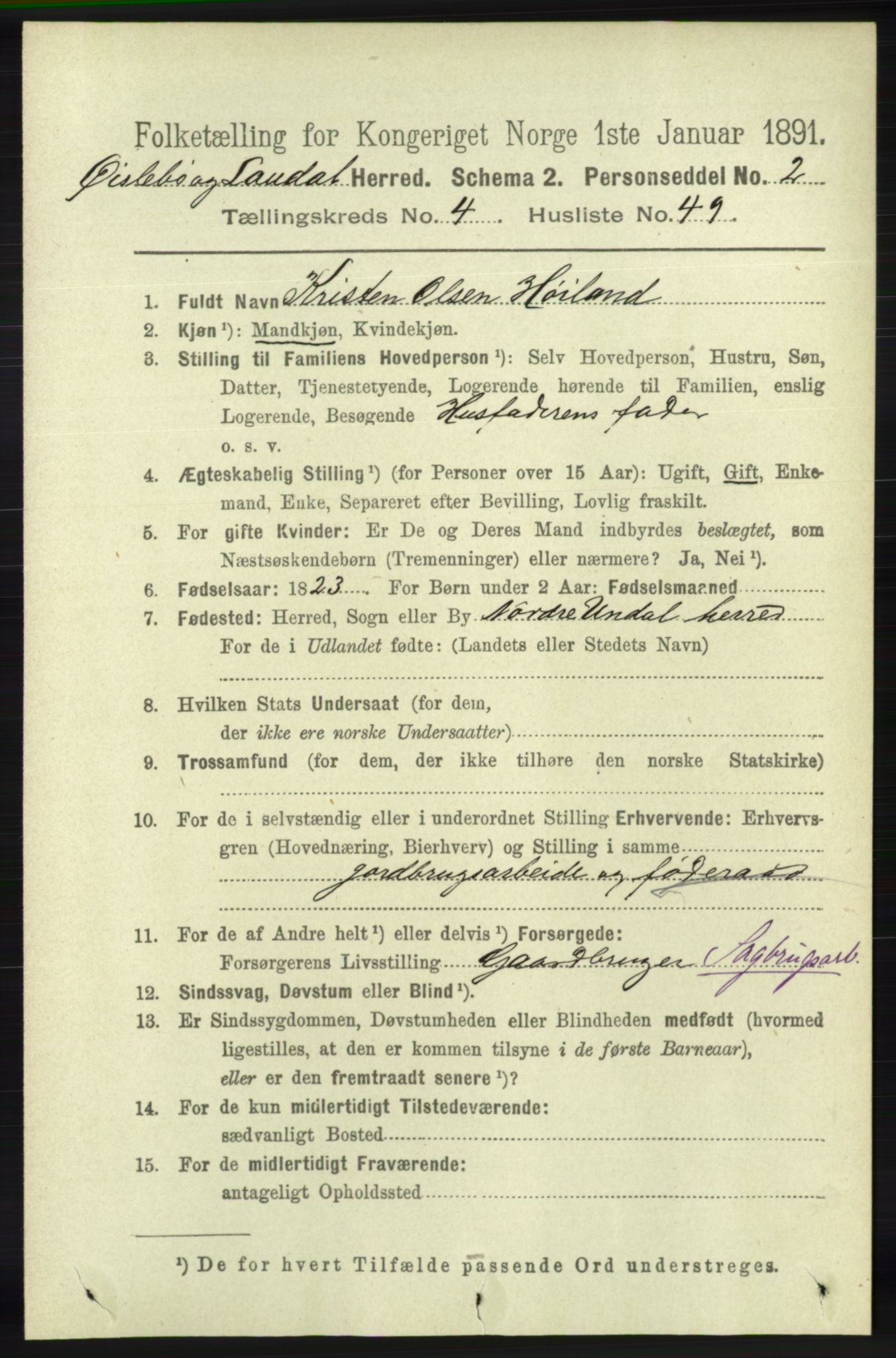 RA, 1891 census for 1021 Øyslebø og Laudal, 1891, p. 1244