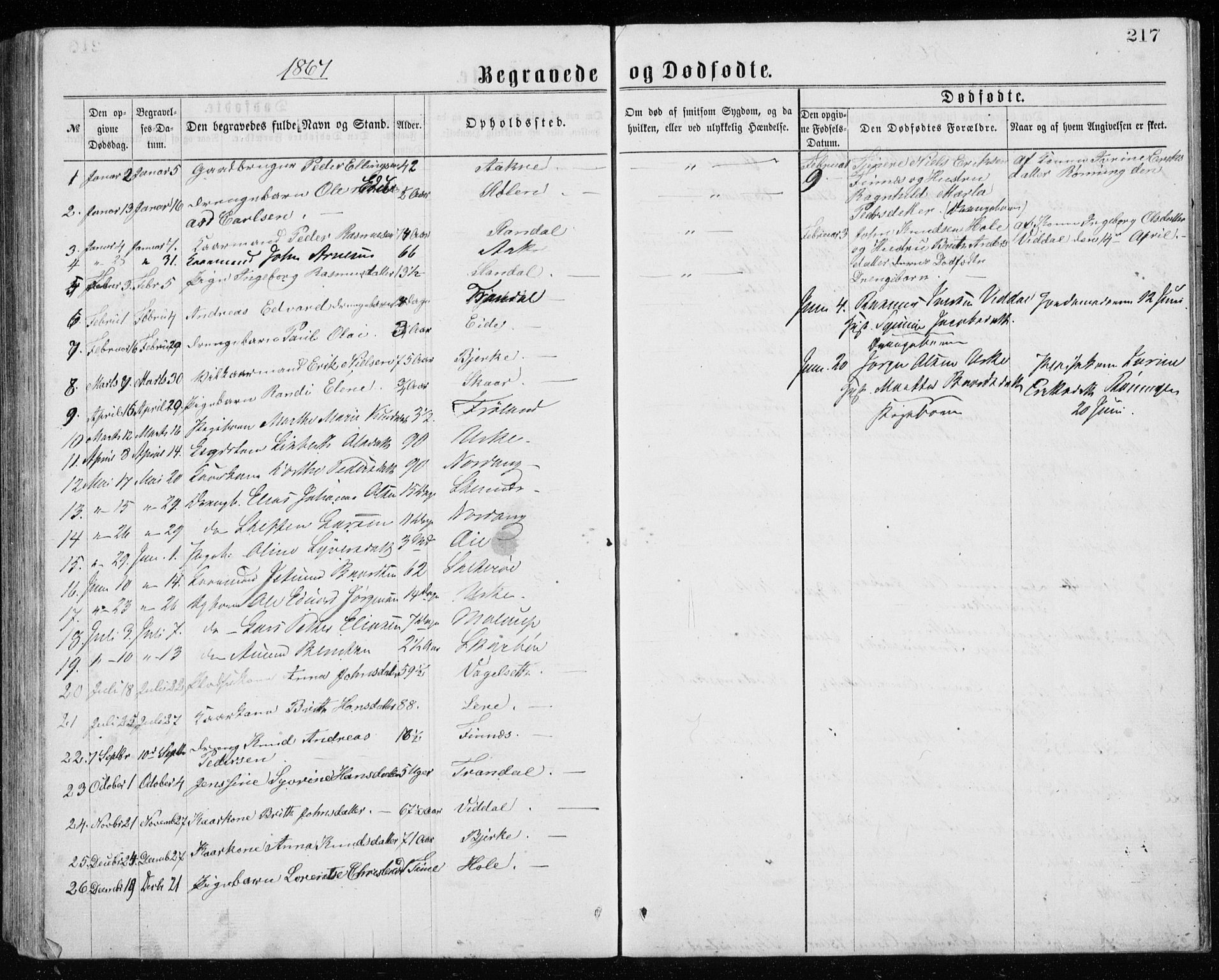 Ministerialprotokoller, klokkerbøker og fødselsregistre - Møre og Romsdal, AV/SAT-A-1454/515/L0214: Parish register (copy) no. 515C01, 1865-1883, p. 217