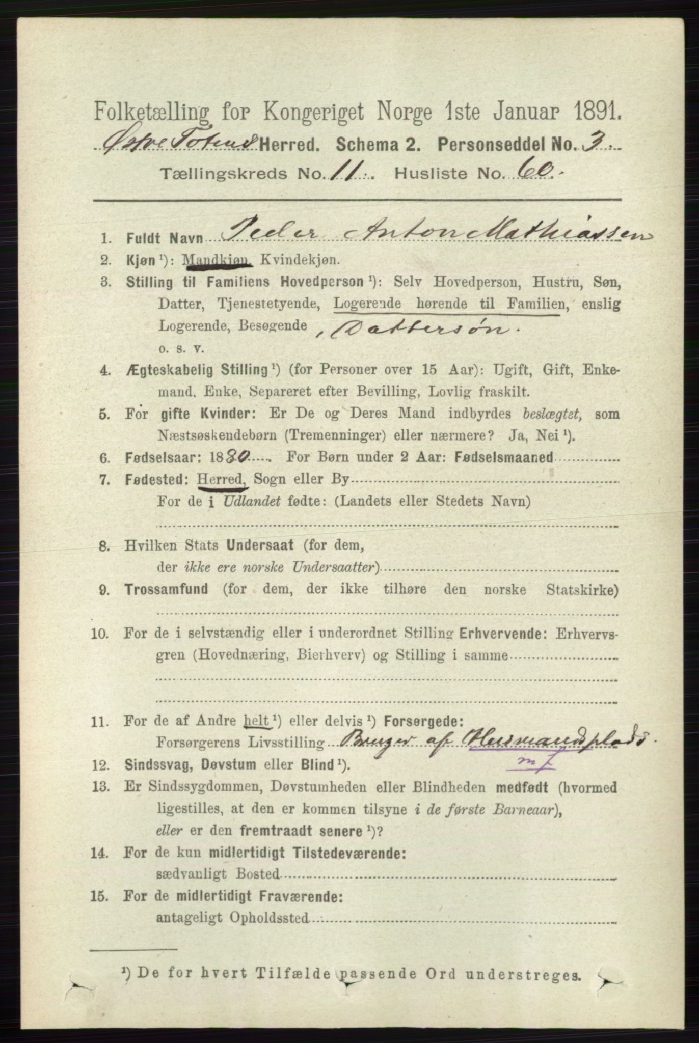 RA, 1891 census for 0528 Østre Toten, 1891, p. 7313