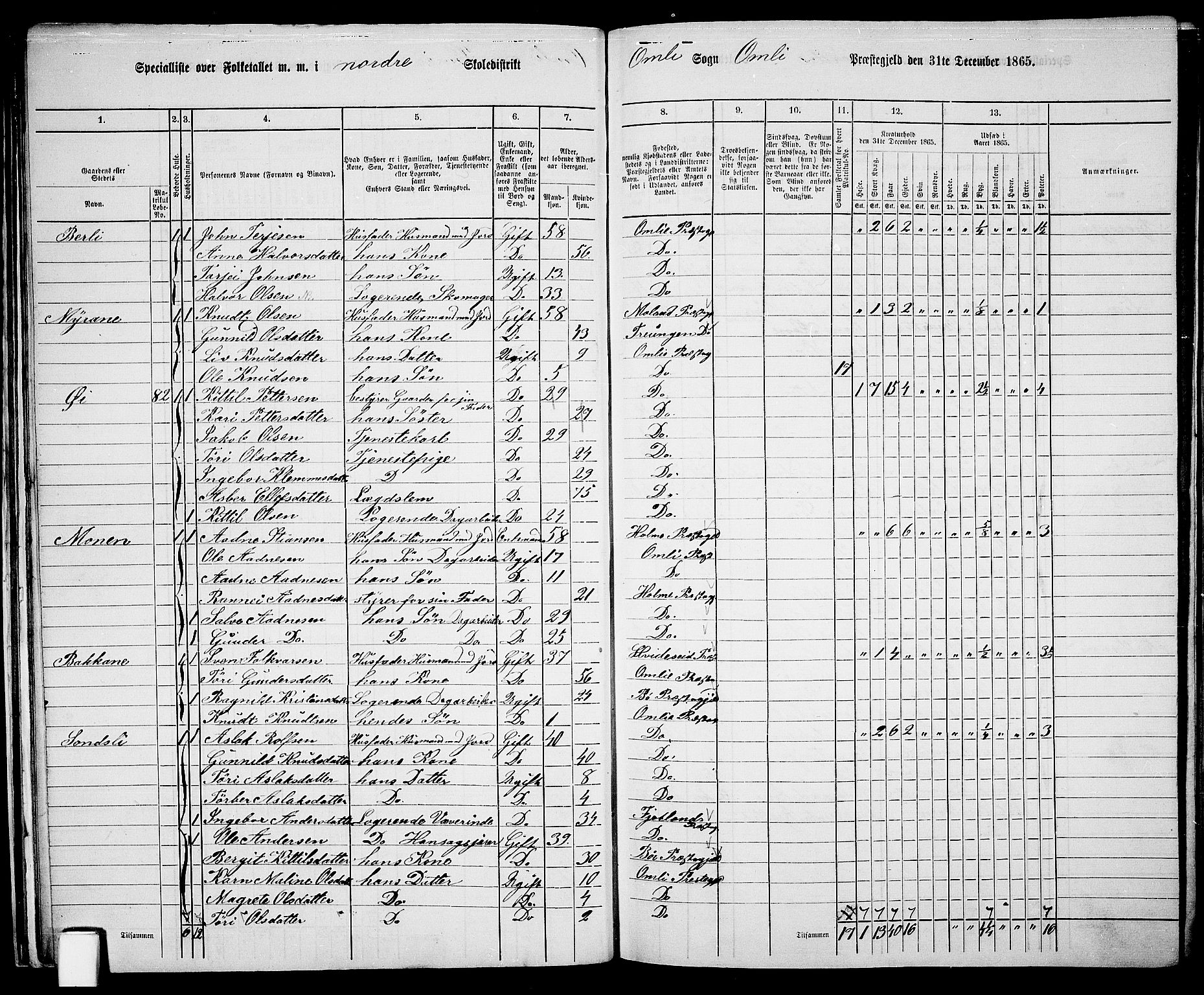 RA, 1865 census for Åmli, 1865, p. 31