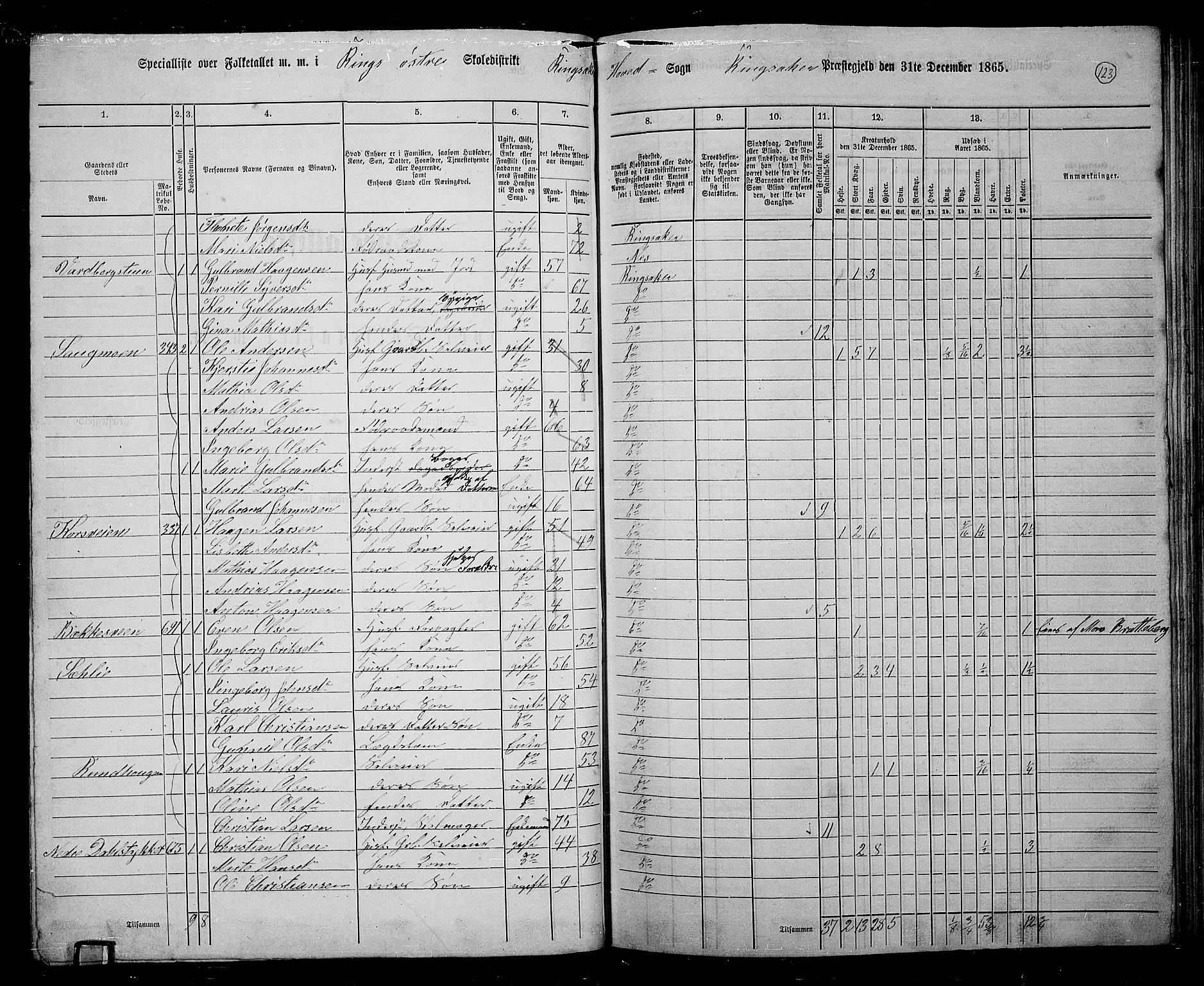 RA, 1865 census for Ringsaker, 1865, p. 371