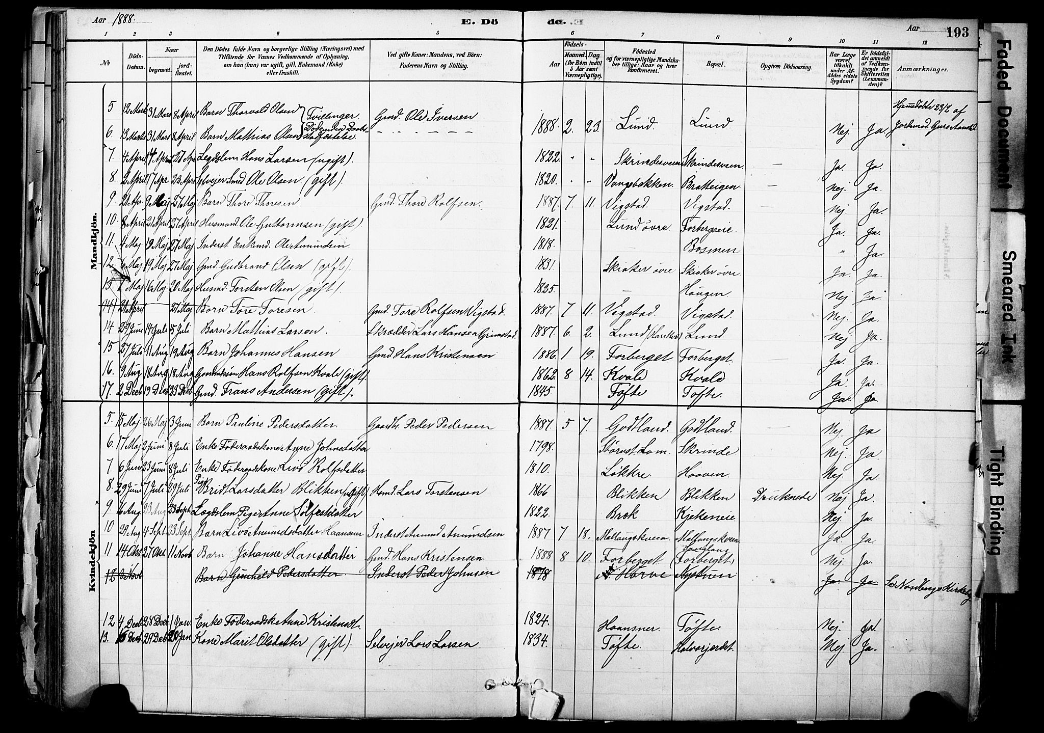 Skjåk prestekontor, SAH/PREST-072/H/Ha/Haa/L0003: Parish register (official) no. 3, 1880-1907, p. 193