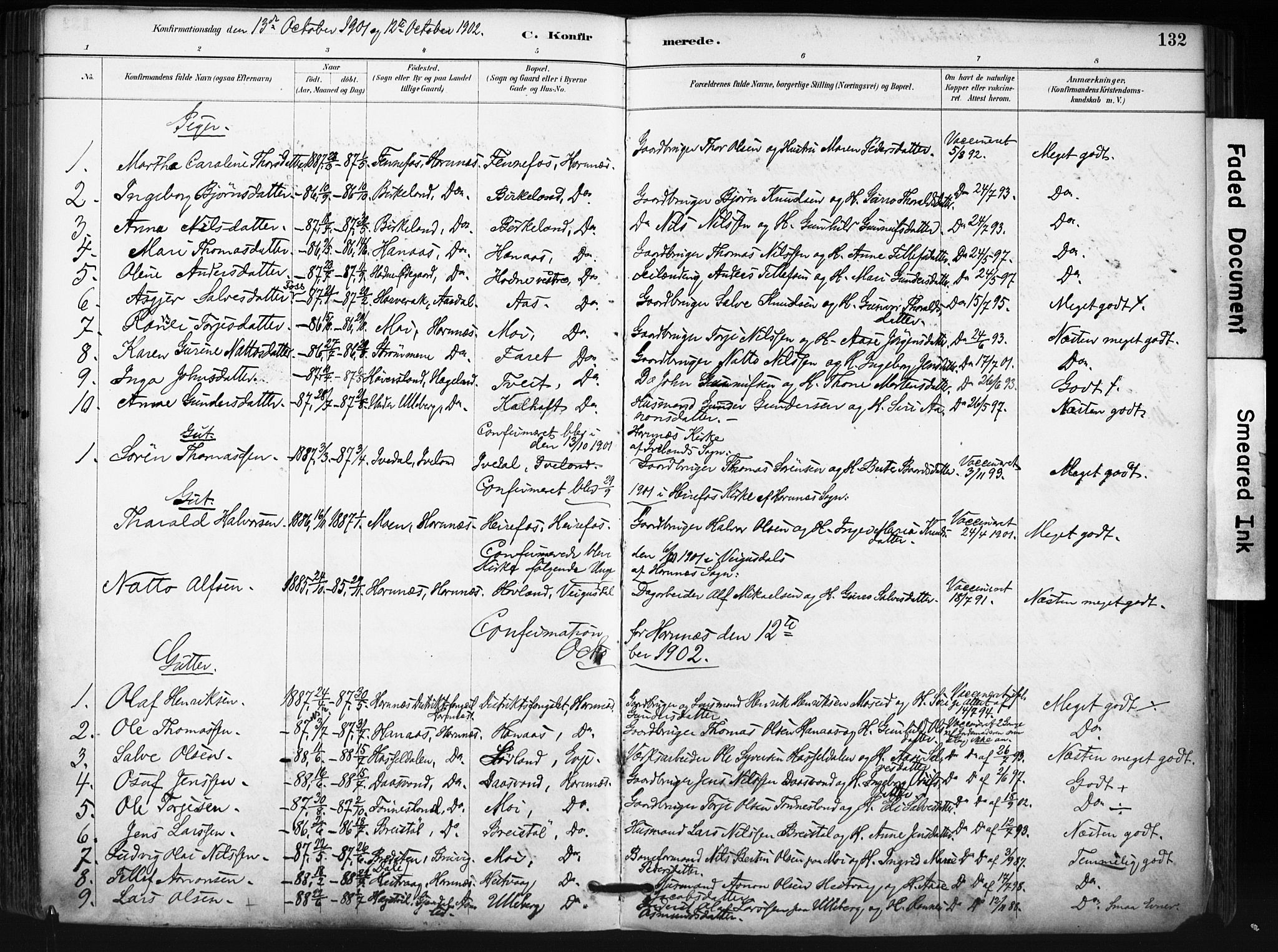 Evje sokneprestkontor, SAK/1111-0008/F/Fa/Fab/L0003: Parish register (official) no. A 3, 1884-1909, p. 132