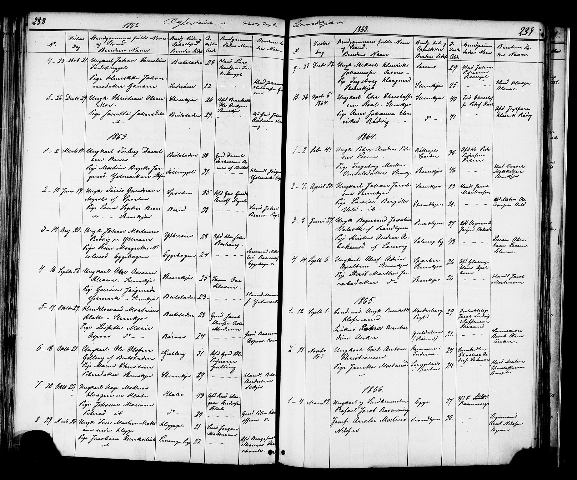 Ministerialprotokoller, klokkerbøker og fødselsregistre - Nord-Trøndelag, SAT/A-1458/739/L0367: Parish register (official) no. 739A01 /2, 1838-1868, p. 238-239