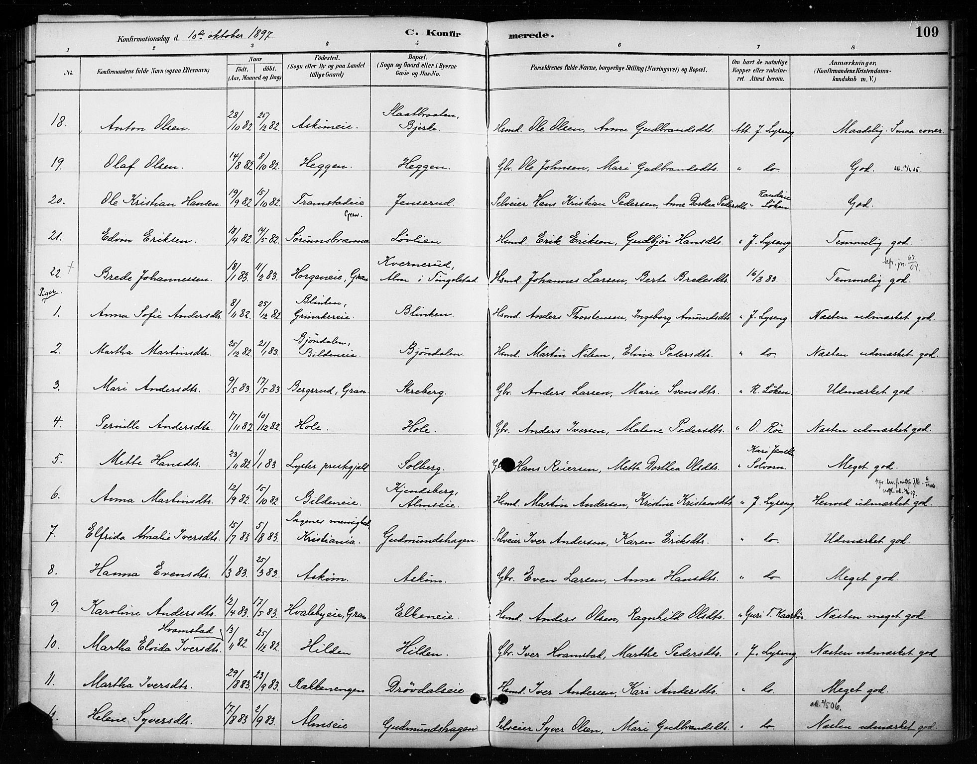 Gran prestekontor, SAH/PREST-112/H/Ha/Haa/L0018: Parish register (official) no. 18, 1889-1899, p. 109