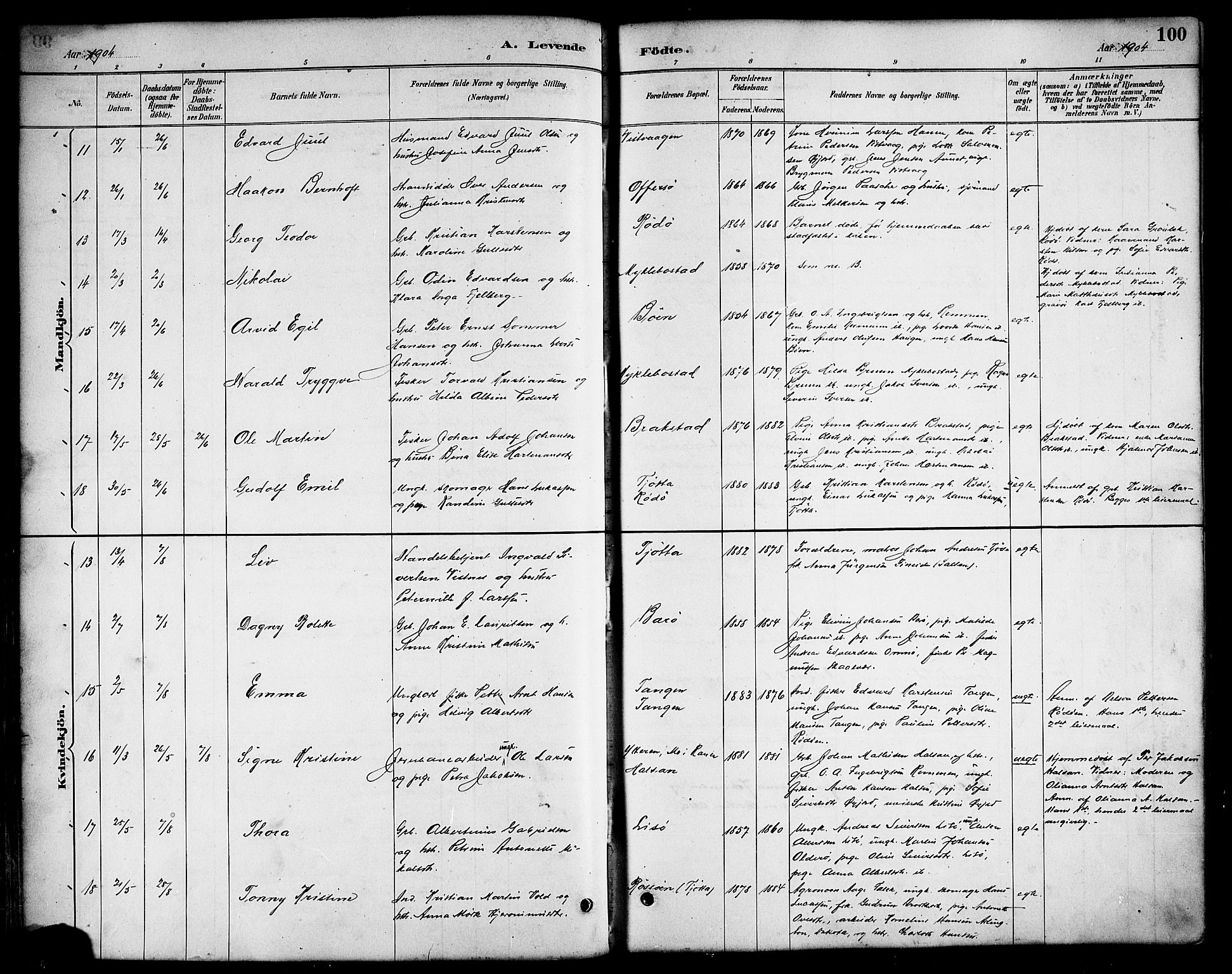 Ministerialprotokoller, klokkerbøker og fødselsregistre - Nordland, AV/SAT-A-1459/817/L0268: Parish register (copy) no. 817C03, 1884-1920, p. 100