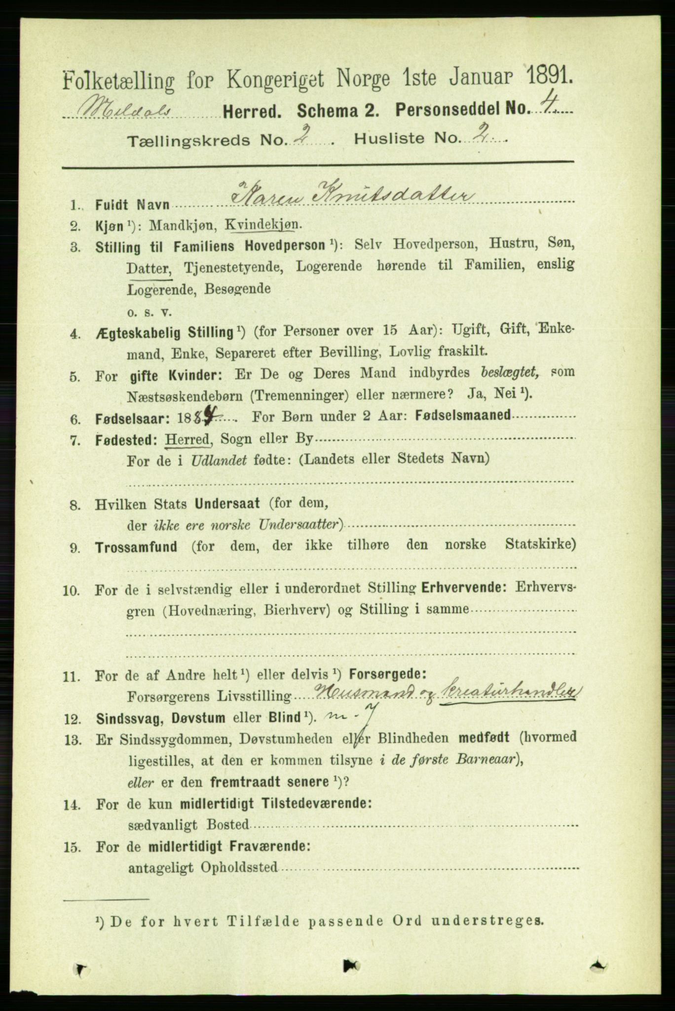 RA, 1891 census for 1636 Meldal, 1891, p. 1071