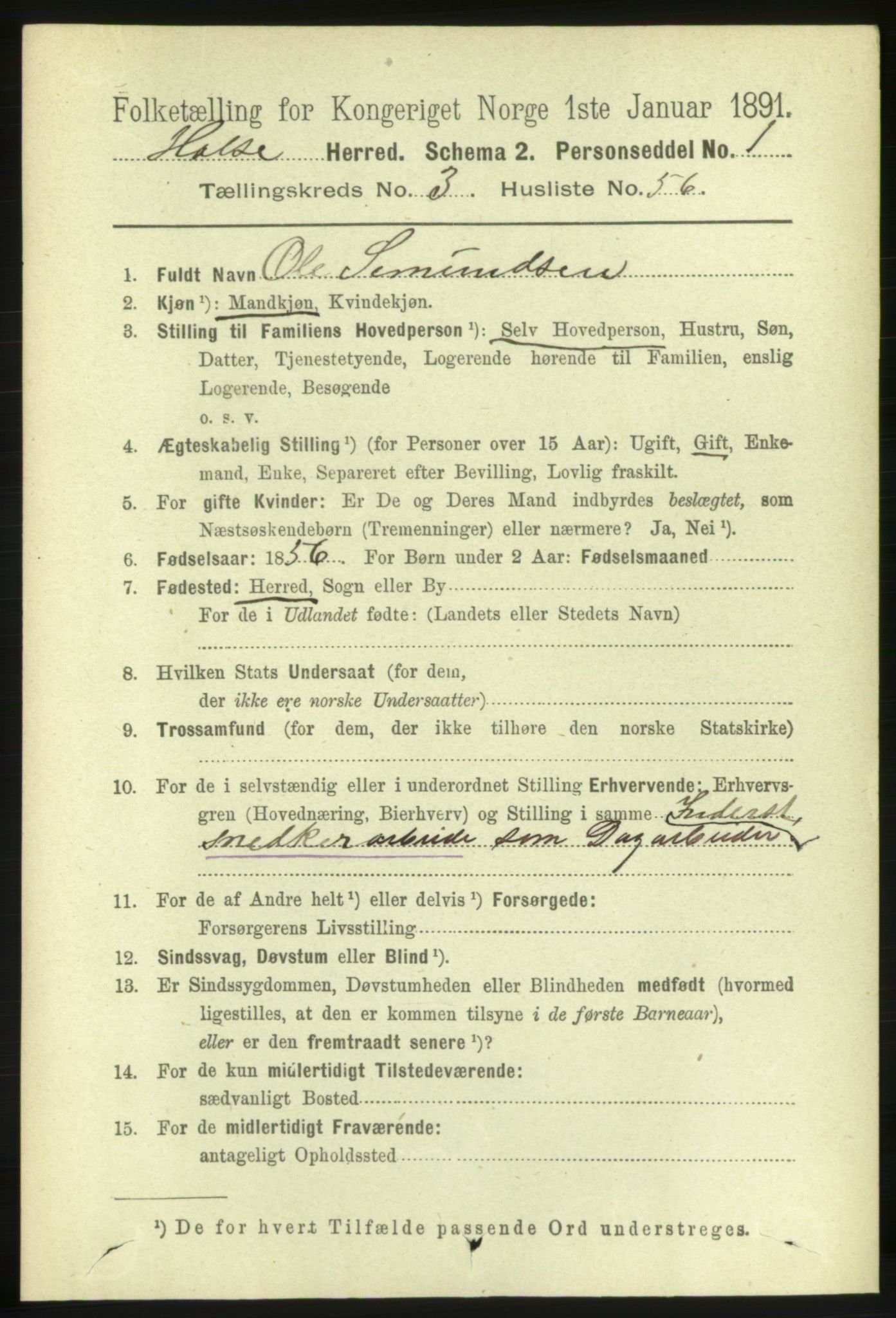 RA, 1891 census for 1571 Halsa, 1891, p. 932