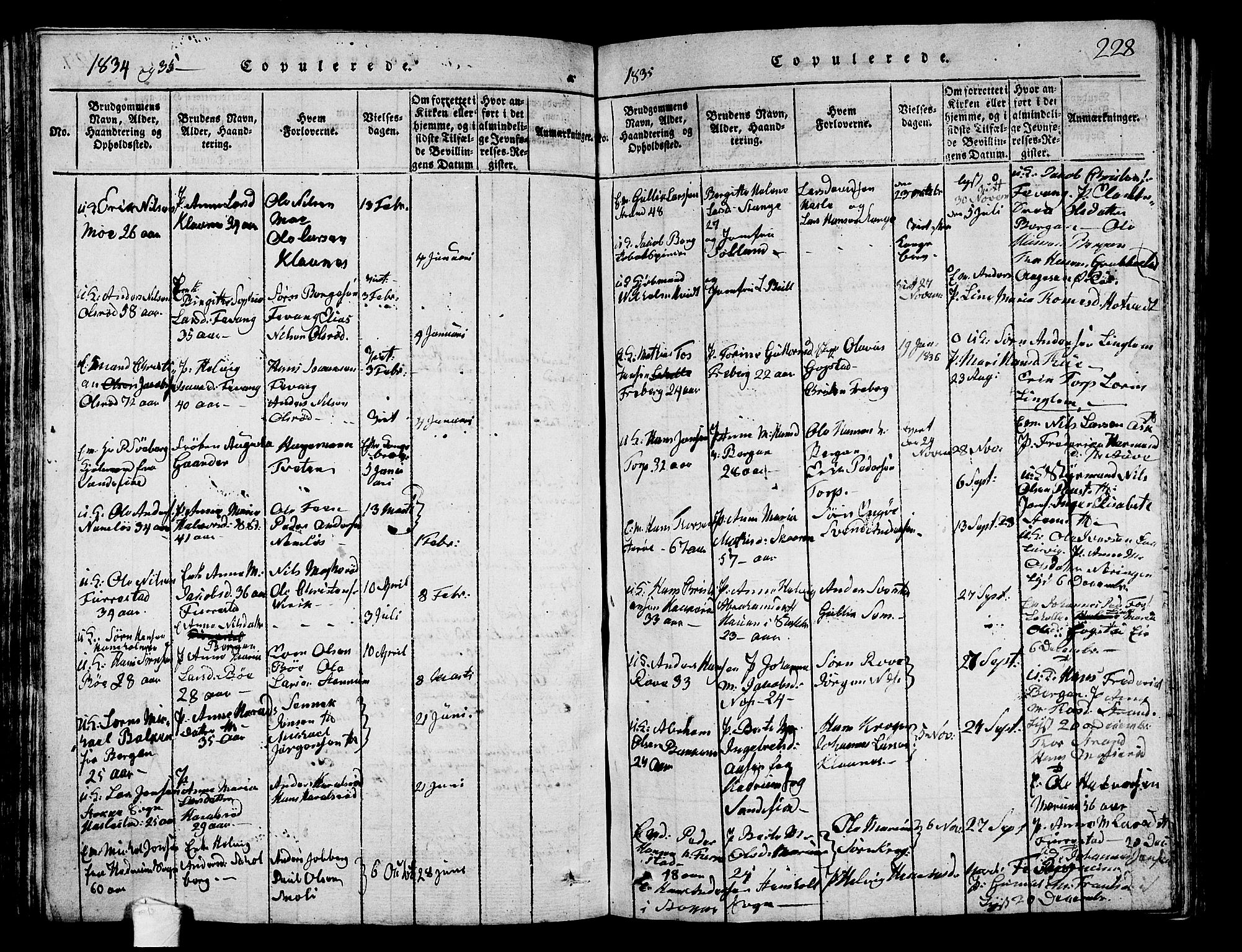 Sandar kirkebøker, AV/SAKO-A-243/G/Ga/L0001: Parish register (copy) no. 1, 1814-1835, p. 228