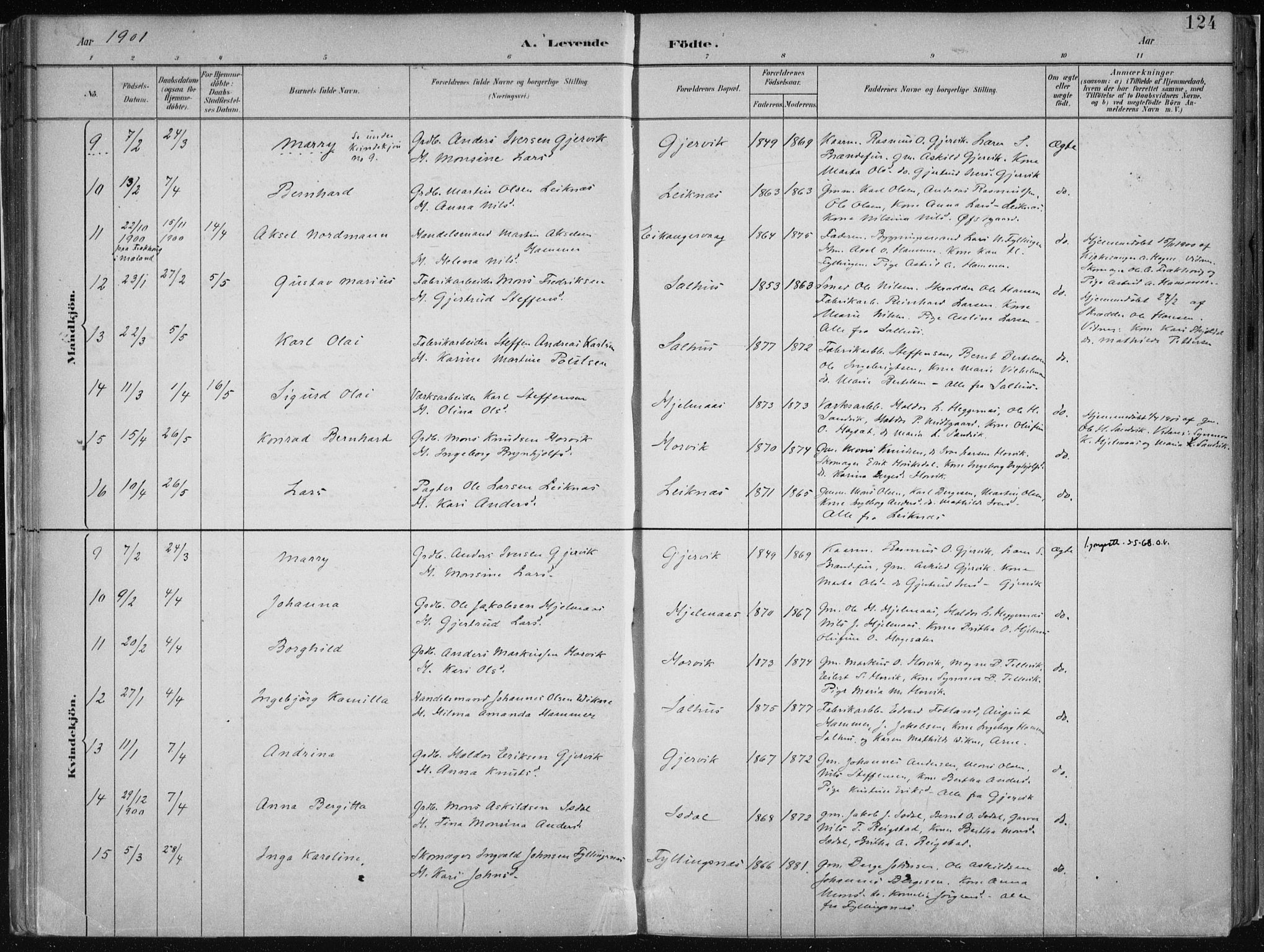 Hamre sokneprestembete, AV/SAB-A-75501/H/Ha/Haa/Haab/L0001: Parish register (official) no. B  1, 1882-1905, p. 124