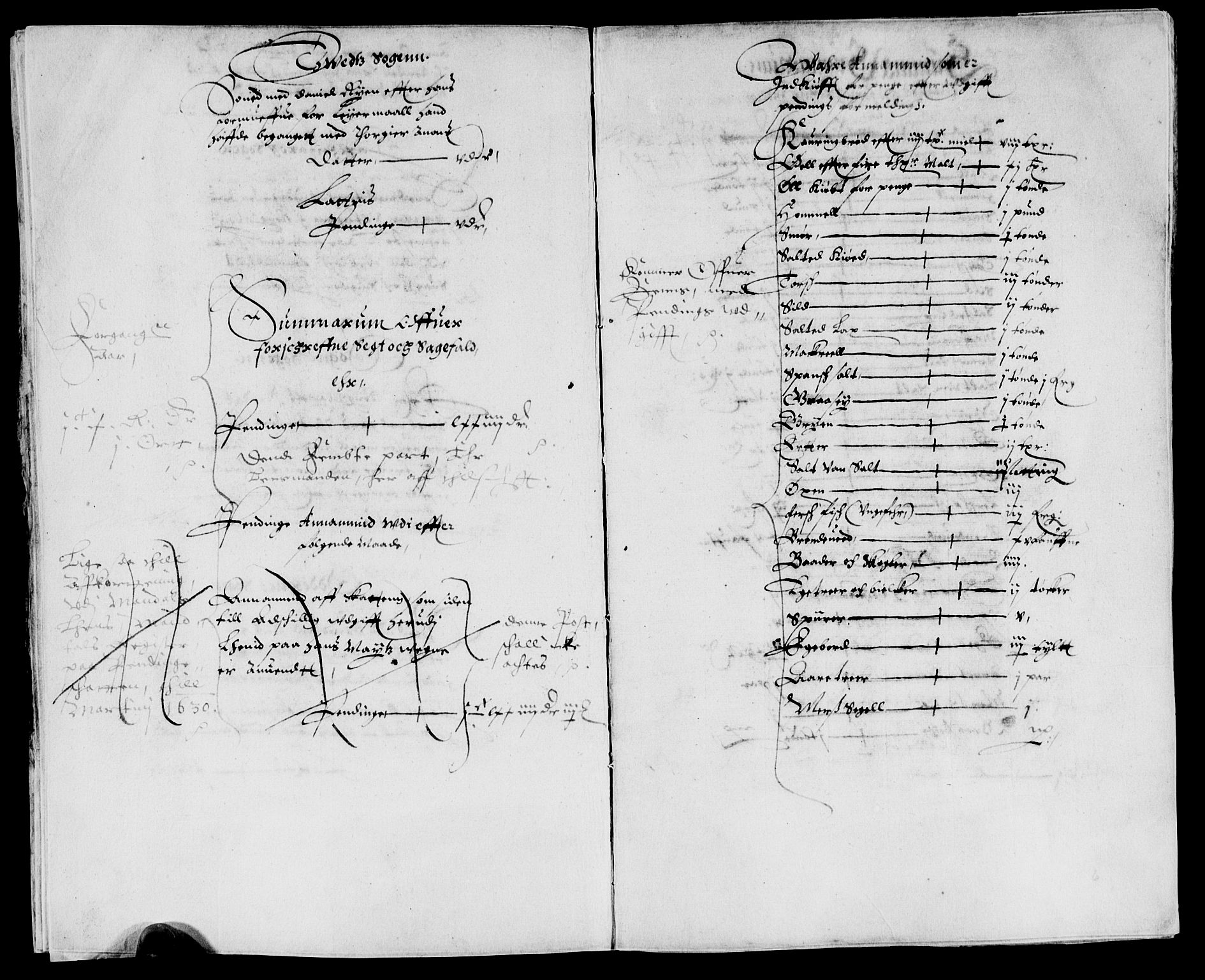 Rentekammeret inntil 1814, Reviderte regnskaper, Lensregnskaper, AV/RA-EA-5023/R/Rb/Rbq/L0020: Nedenes len. Mandals len. Råbyggelag., 1630-1631