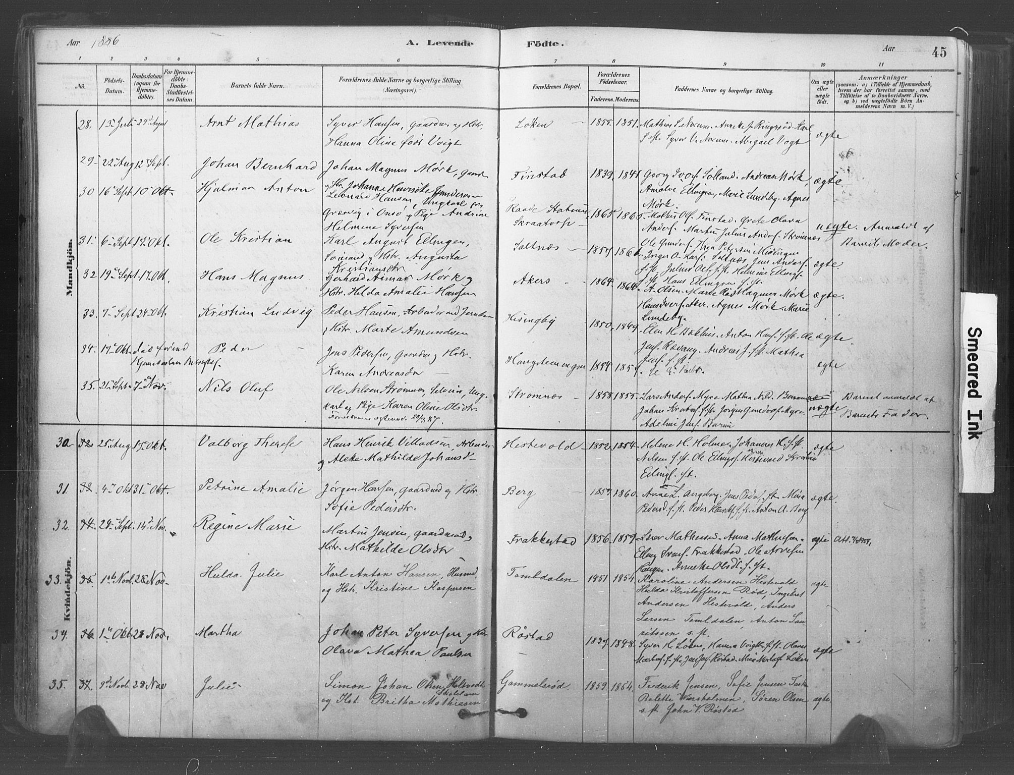 Råde prestekontor kirkebøker, AV/SAO-A-2009/F/Fa/L0007: Parish register (official) no. 7, 1878-1902, p. 45