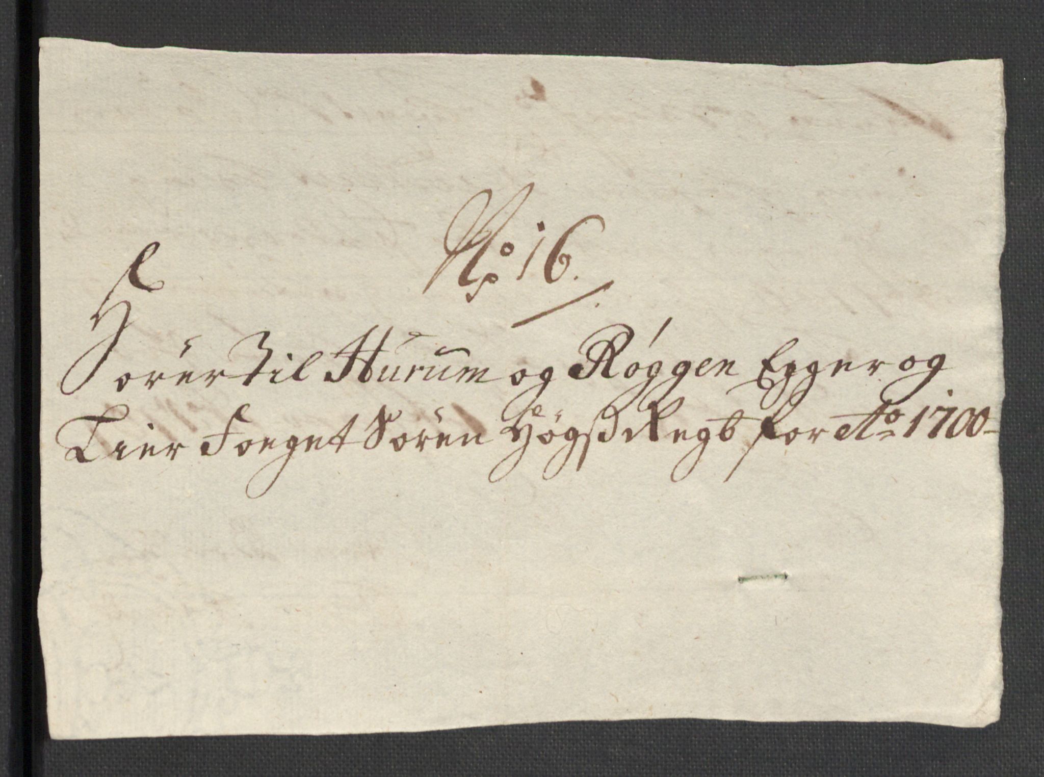 Rentekammeret inntil 1814, Reviderte regnskaper, Fogderegnskap, AV/RA-EA-4092/R30/L1697: Fogderegnskap Hurum, Røyken, Eiker og Lier, 1700-1701, p. 222