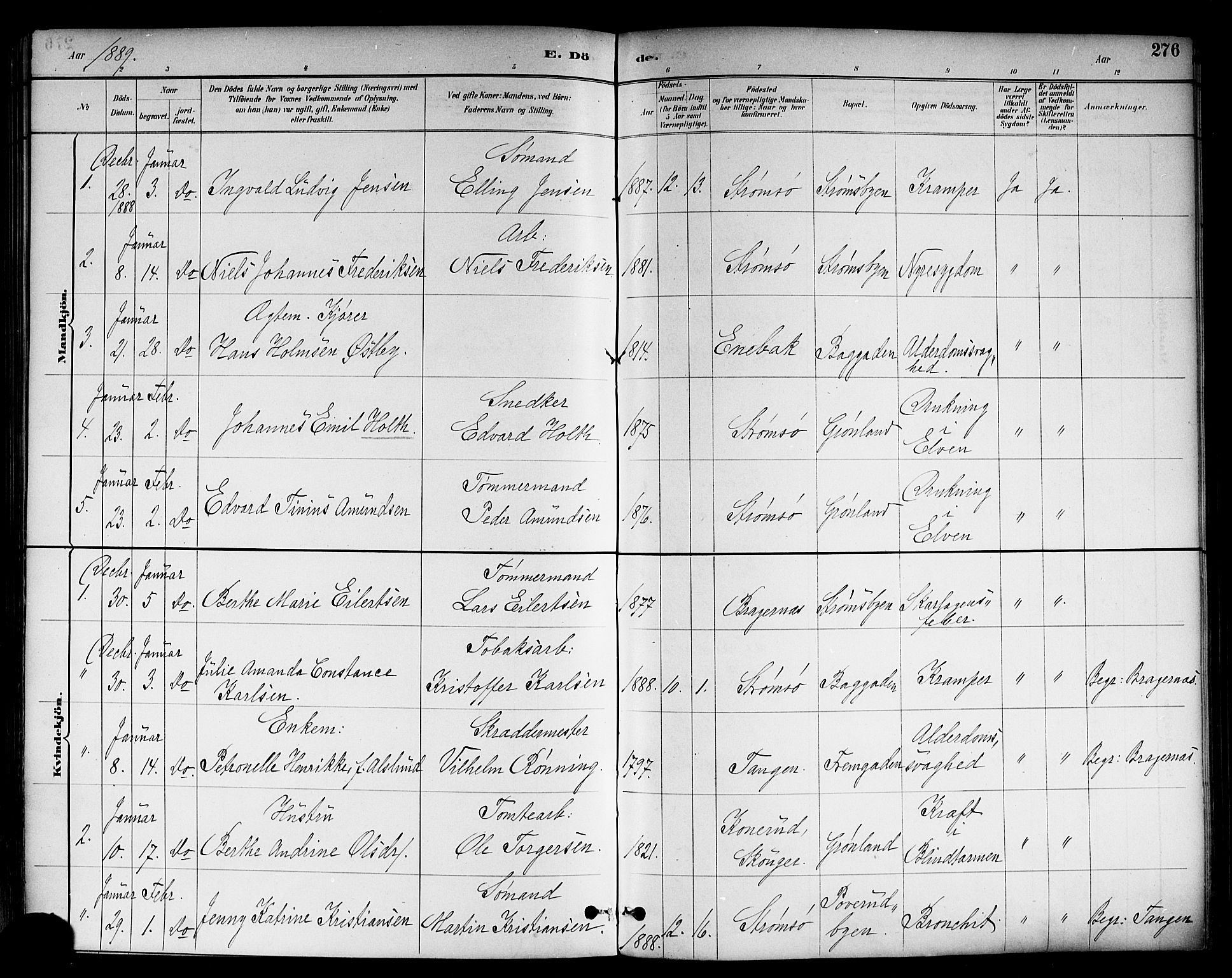 Strømsø kirkebøker, SAKO/A-246/F/Fa/L0023: Parish register (official) no. I 23, 1885-1894, p. 276