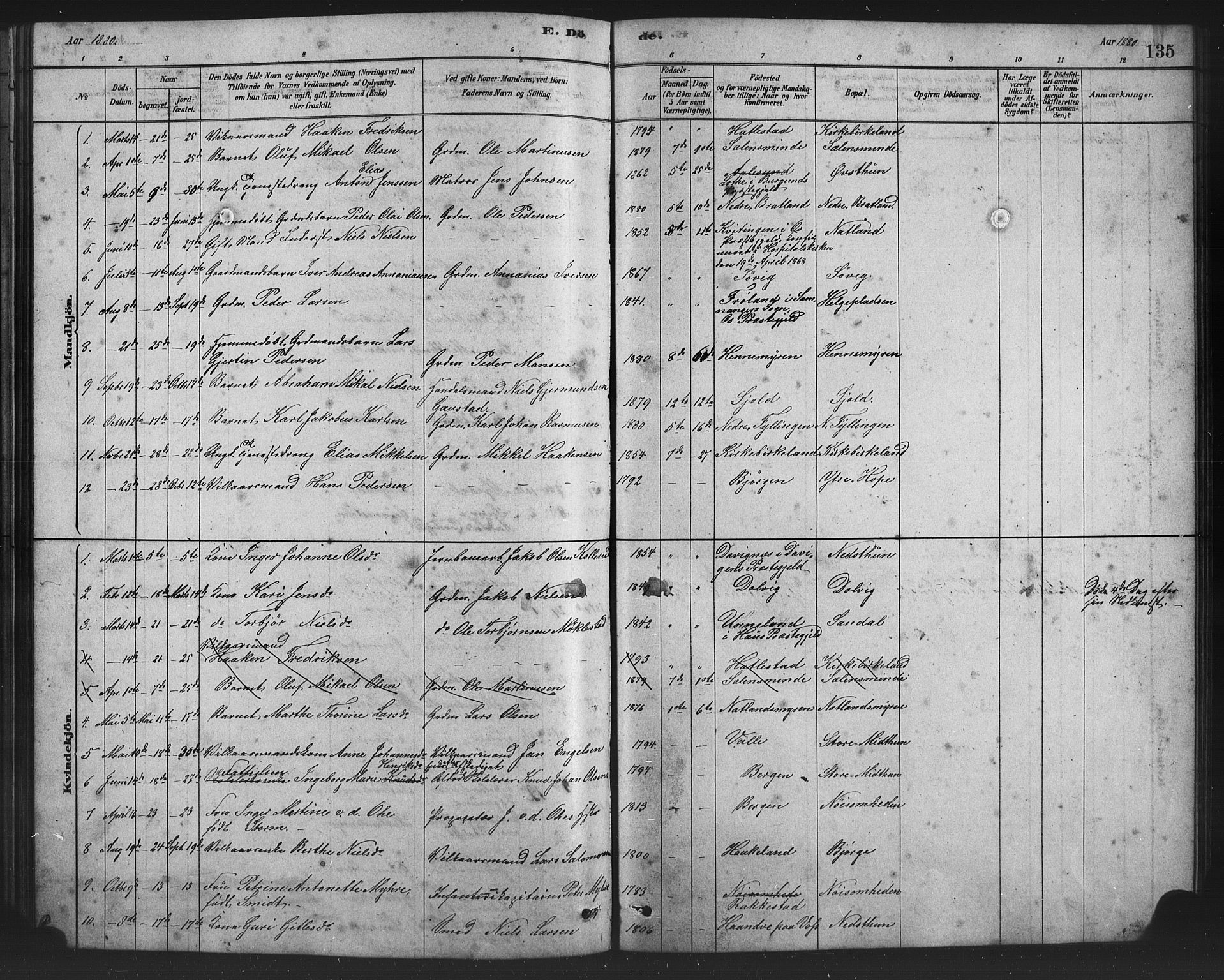 Birkeland Sokneprestembete, SAB/A-74601/H/Hab: Parish register (copy) no. A 3, 1877-1887, p. 135