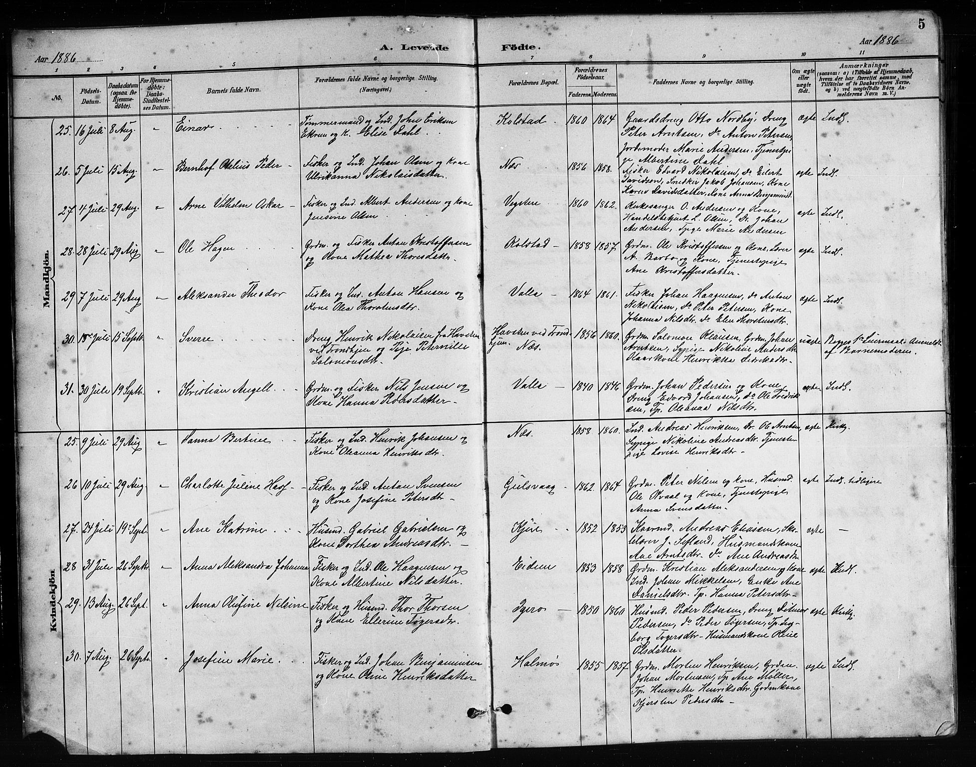 Ministerialprotokoller, klokkerbøker og fødselsregistre - Nordland, SAT/A-1459/816/L0253: Parish register (copy) no. 816C03, 1886-1905, p. 5