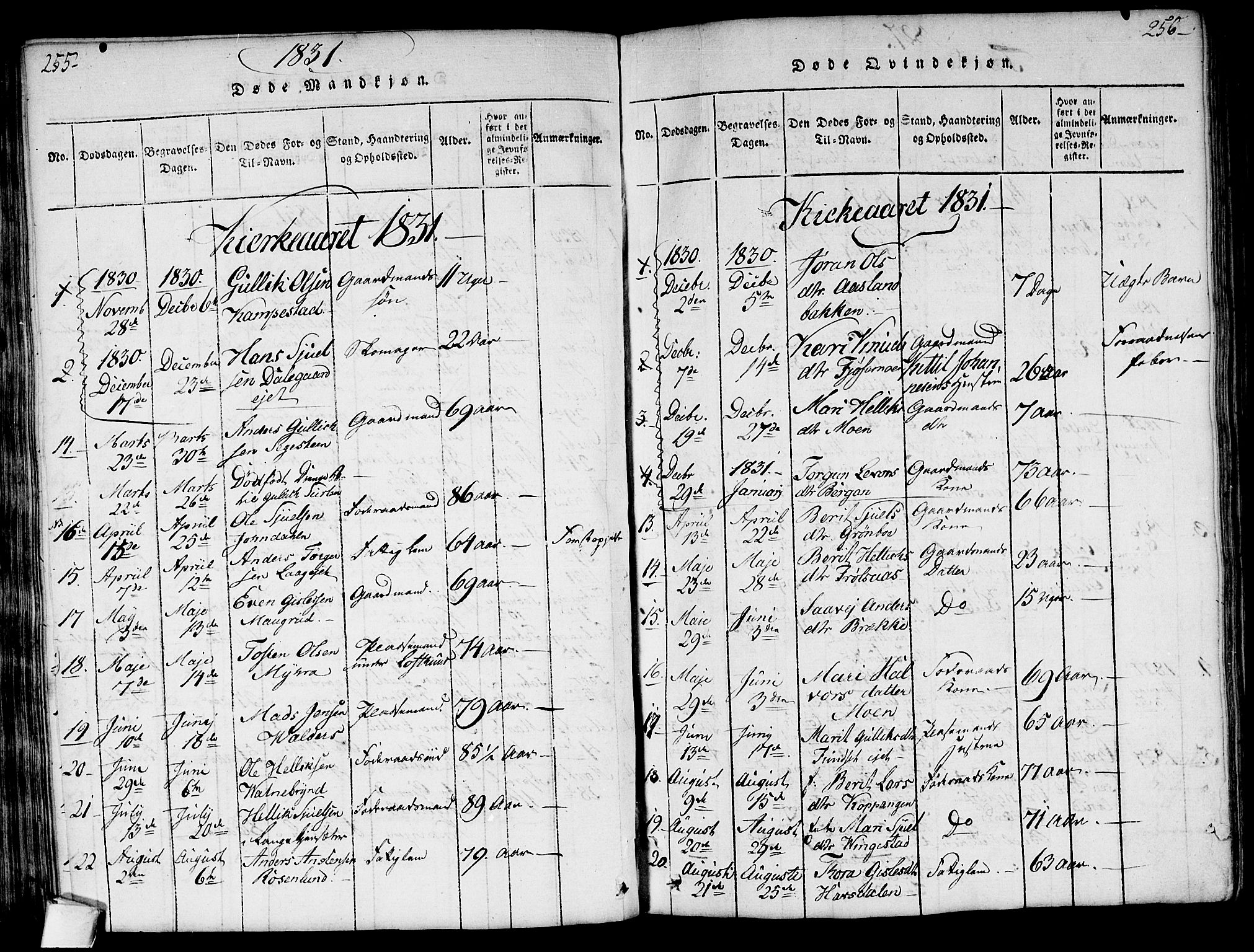 Flesberg kirkebøker, SAKO/A-18/G/Ga/L0001: Parish register (copy) no. I 1, 1816-1834, p. 255-256