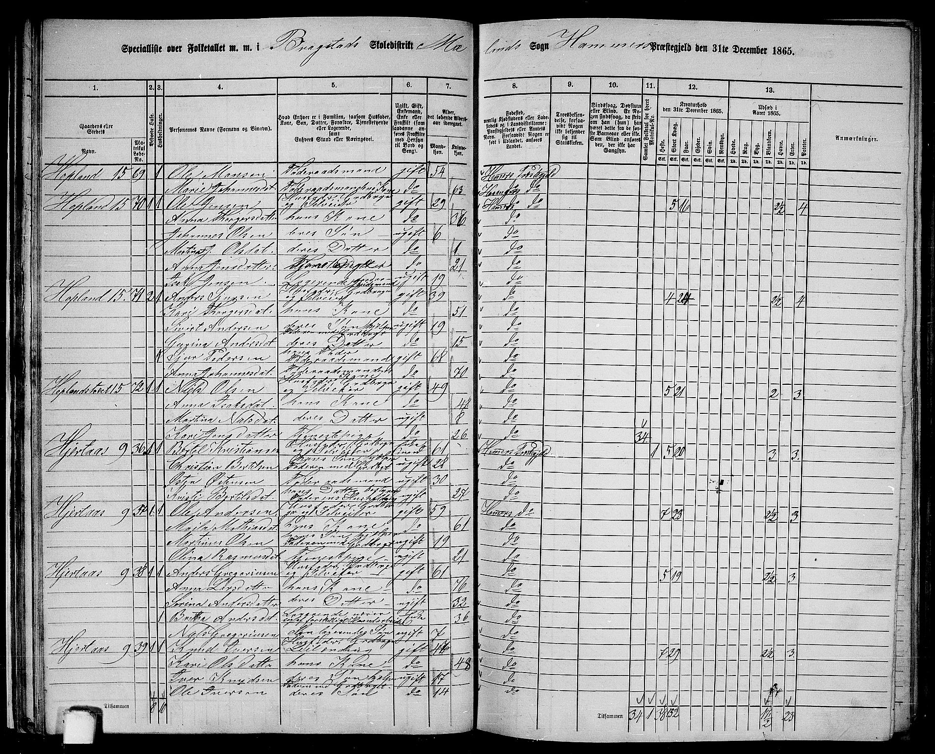 RA, 1865 census for Hamre, 1865, p. 33