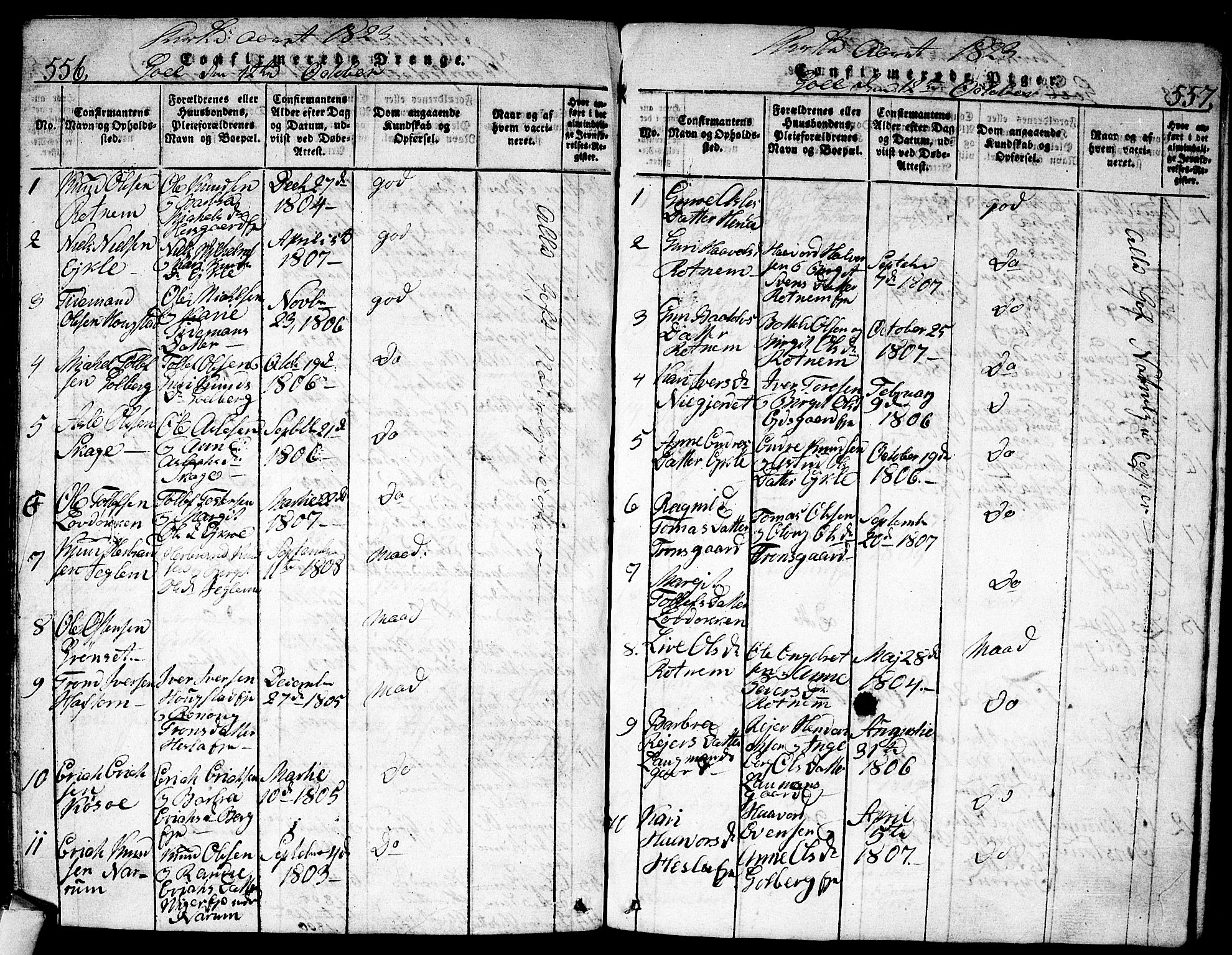 Nes kirkebøker, SAKO/A-236/F/Fa/L0007: Parish register (official) no. 7, 1815-1823, p. 556-557