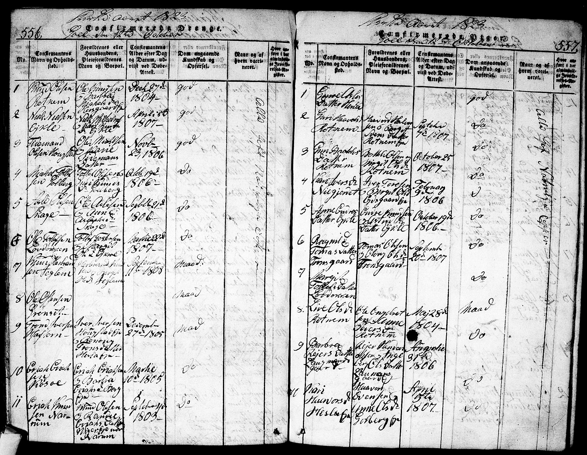 Nes kirkebøker, AV/SAKO-A-236/F/Fa/L0007: Parish register (official) no. 7, 1815-1823, p. 556-557