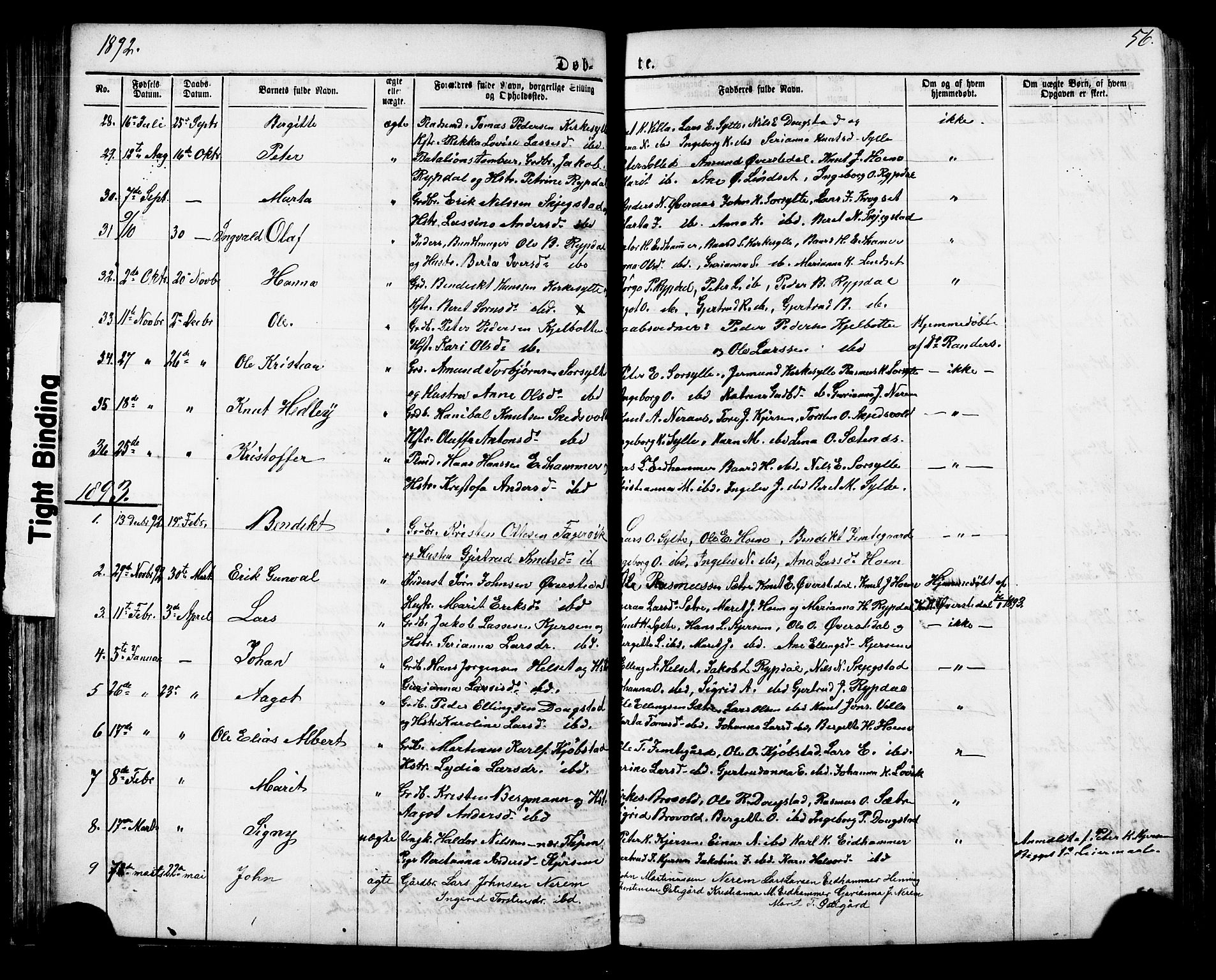 Ministerialprotokoller, klokkerbøker og fødselsregistre - Møre og Romsdal, SAT/A-1454/541/L0547: Parish register (copy) no. 541C02, 1867-1921, p. 56