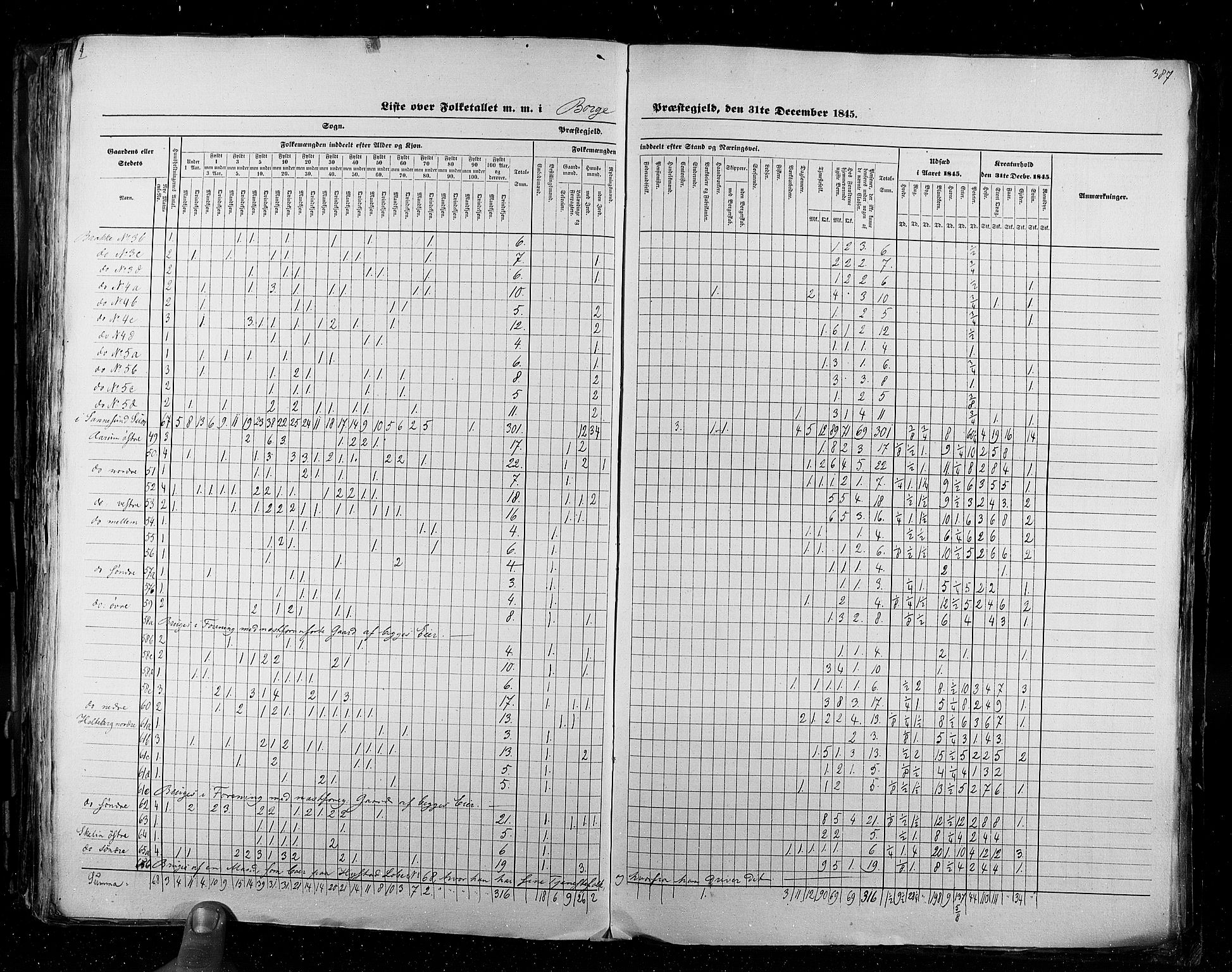 RA, Census 1845, vol. 2: Smålenenes amt og Akershus amt, 1845, p. 387