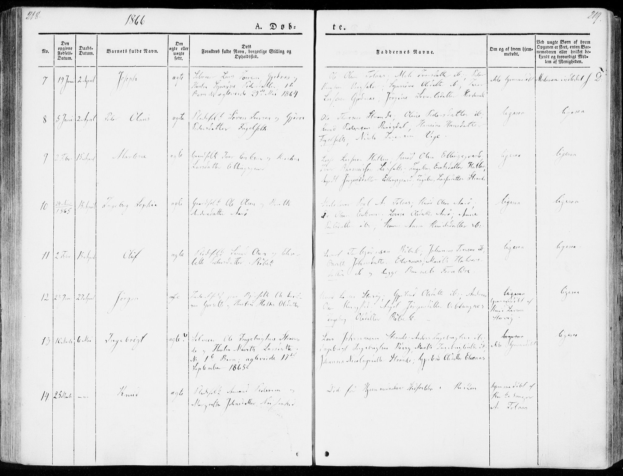 Ministerialprotokoller, klokkerbøker og fødselsregistre - Møre og Romsdal, SAT/A-1454/555/L0653: Parish register (official) no. 555A04, 1843-1869, p. 218-219