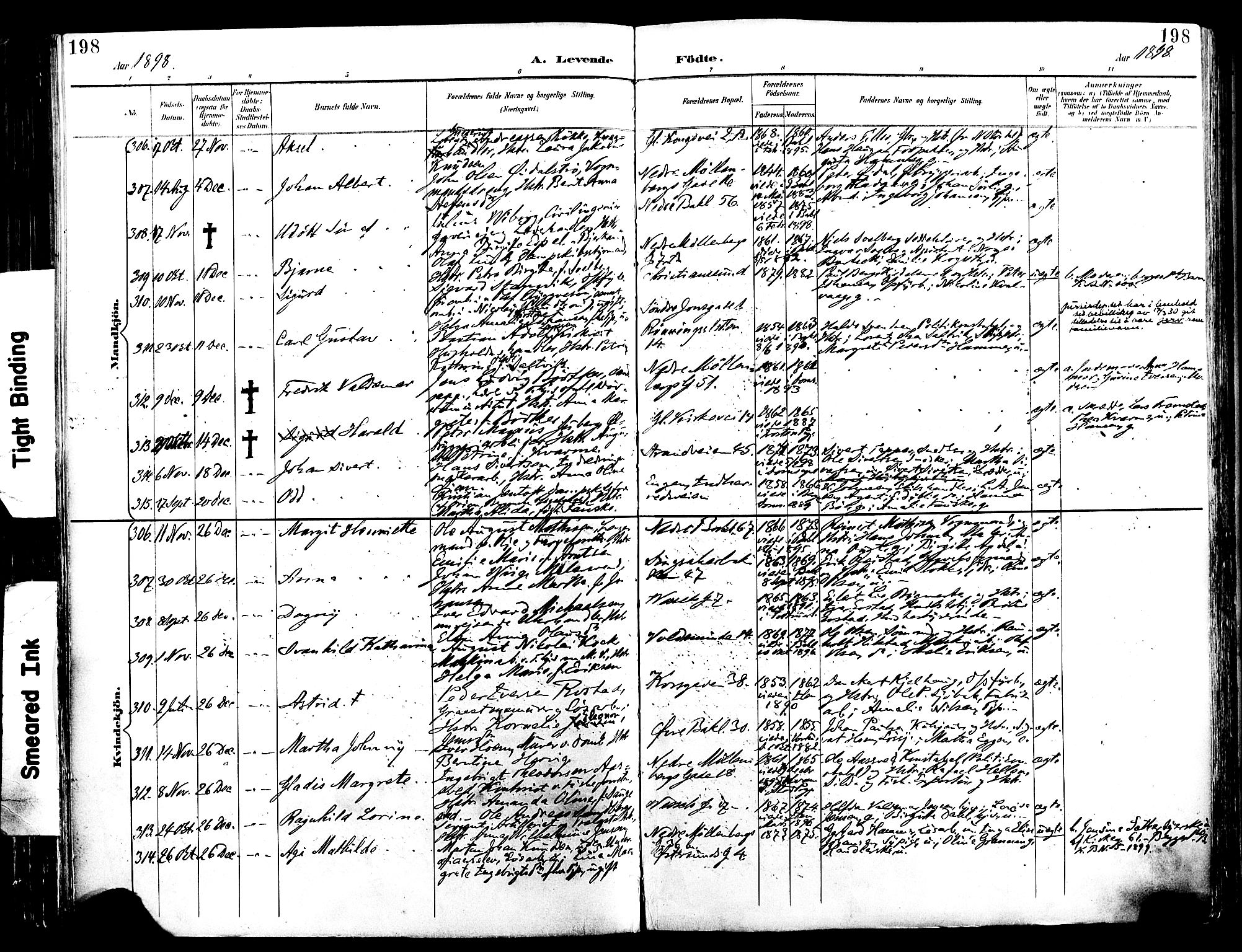 Ministerialprotokoller, klokkerbøker og fødselsregistre - Sør-Trøndelag, AV/SAT-A-1456/604/L0197: Parish register (official) no. 604A18, 1893-1900, p. 198