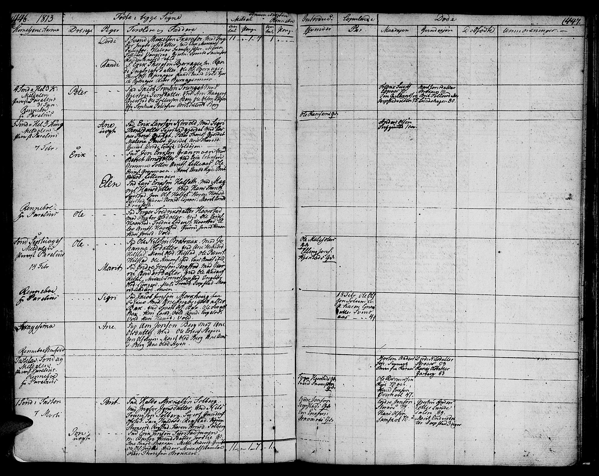 Ministerialprotokoller, klokkerbøker og fødselsregistre - Sør-Trøndelag, AV/SAT-A-1456/672/L0852: Parish register (official) no. 672A05, 1776-1815, p. 446-447