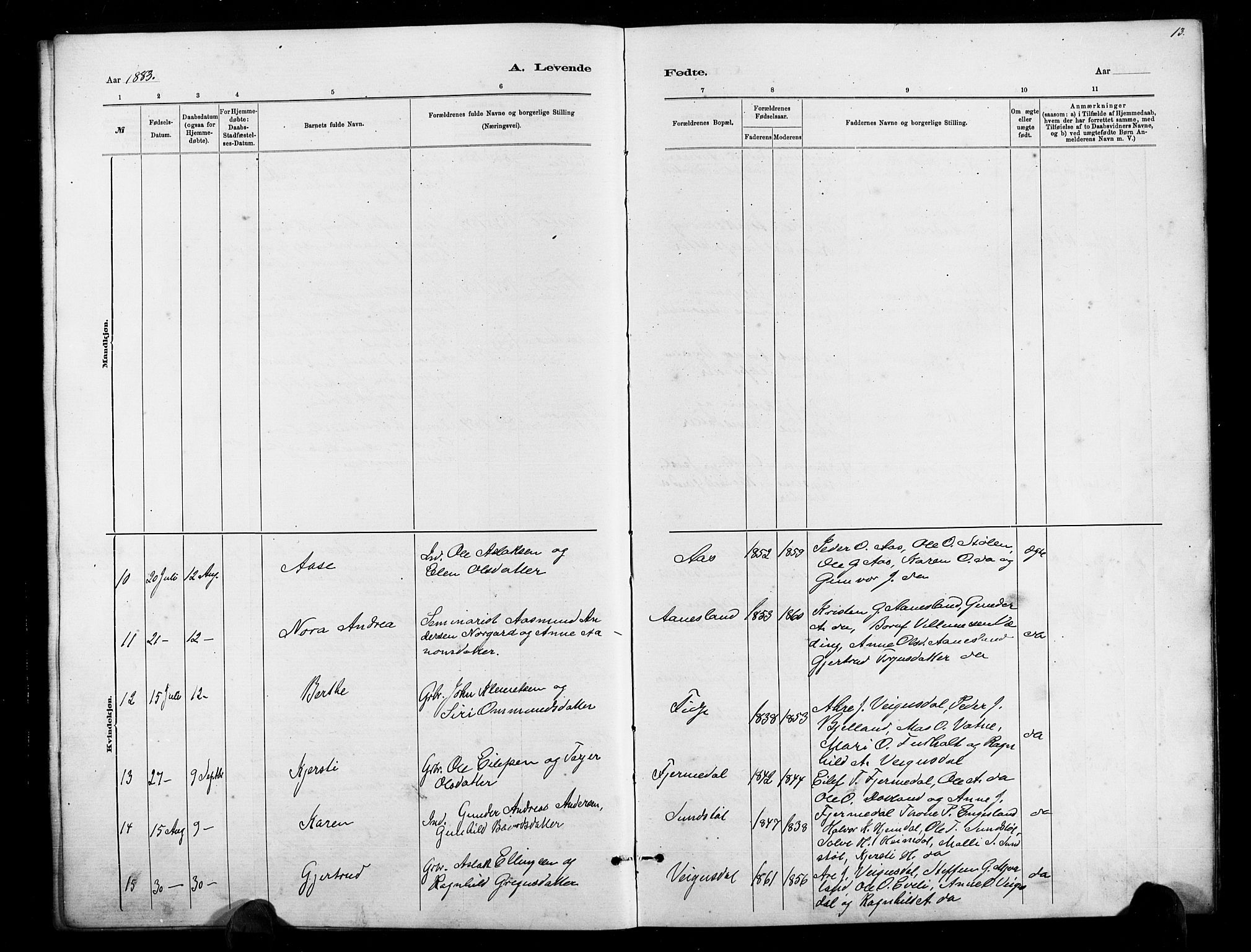 Herefoss sokneprestkontor, AV/SAK-1111-0019/F/Fb/Fbb/L0002: Parish register (copy) no. B 2, 1879-1894, p. 13