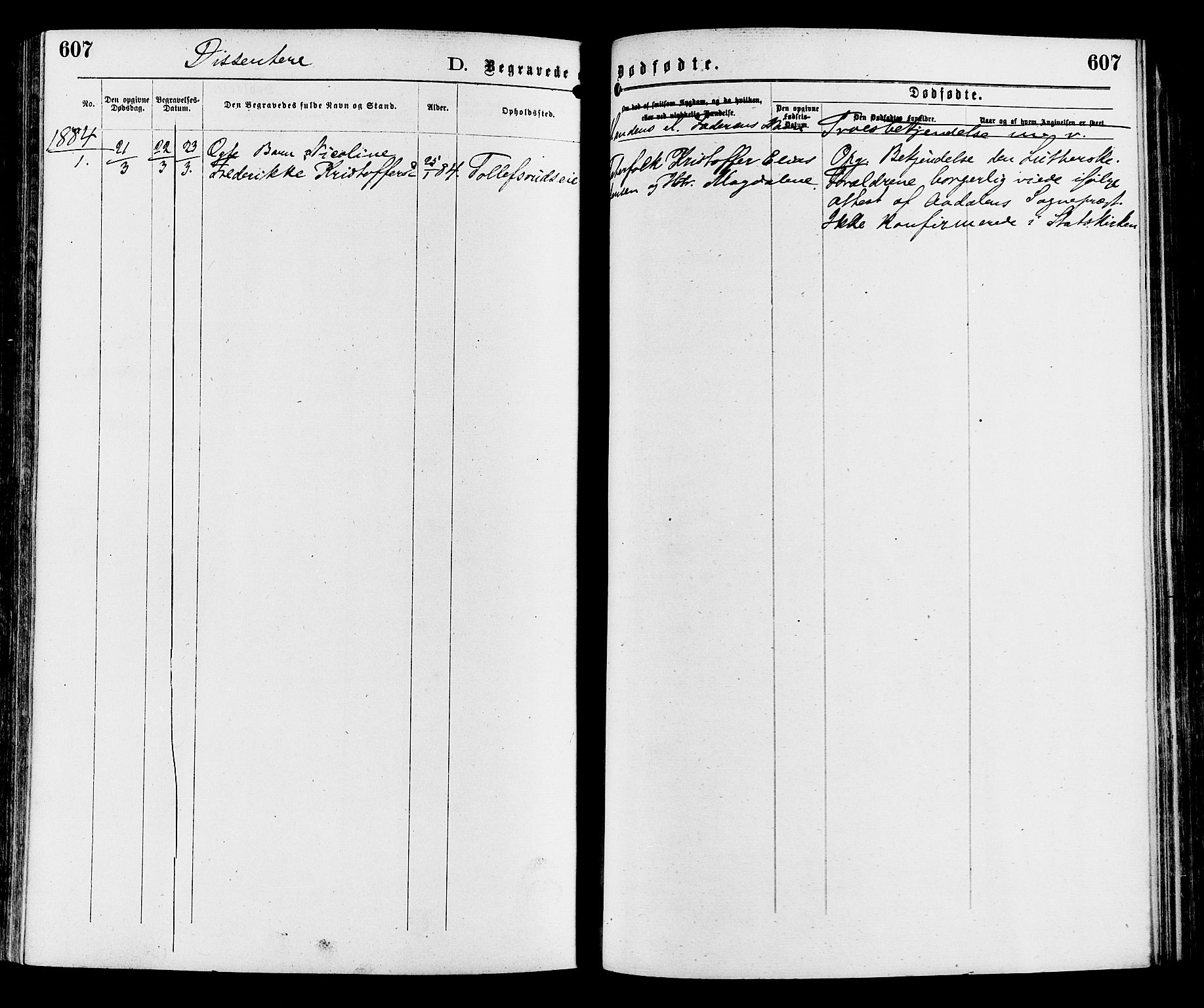 Sør-Aurdal prestekontor, SAH/PREST-128/H/Ha/Haa/L0008: Parish register (official) no. 8, 1877-1885, p. 607