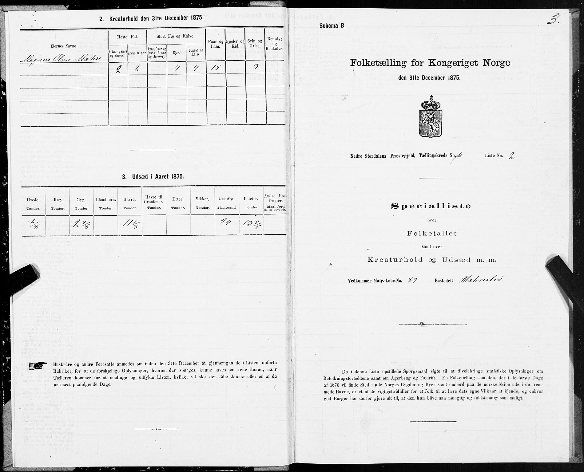 SAT, 1875 census for 1714P Nedre Stjørdal, 1875, p. 3003