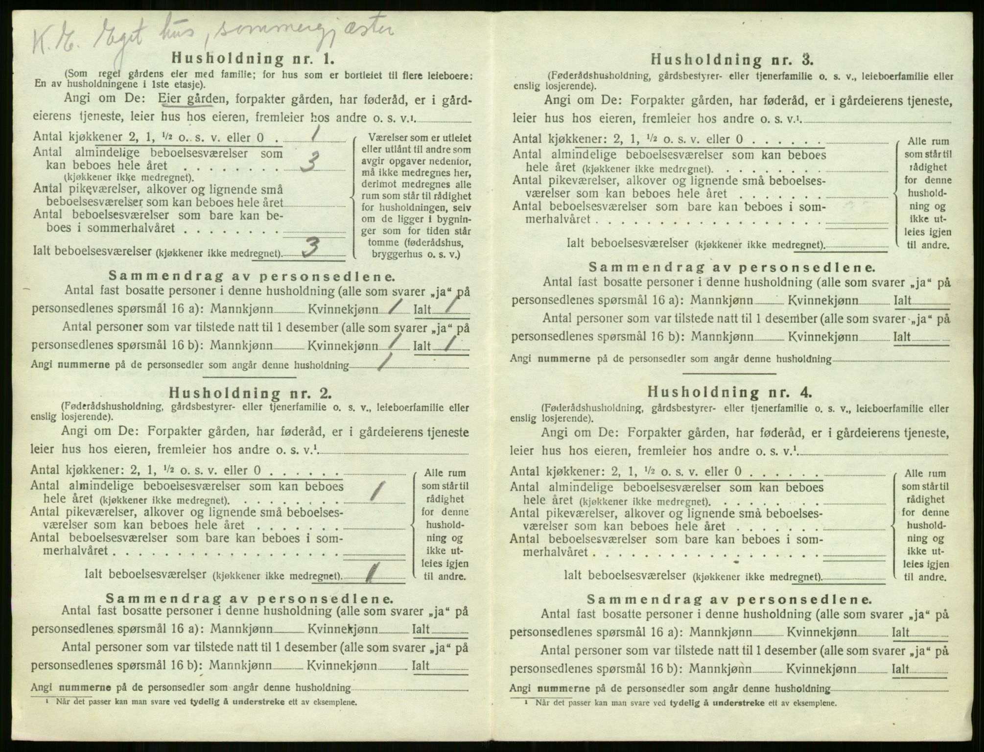 SAKO, 1920 census for Borre, 1920, p. 1357