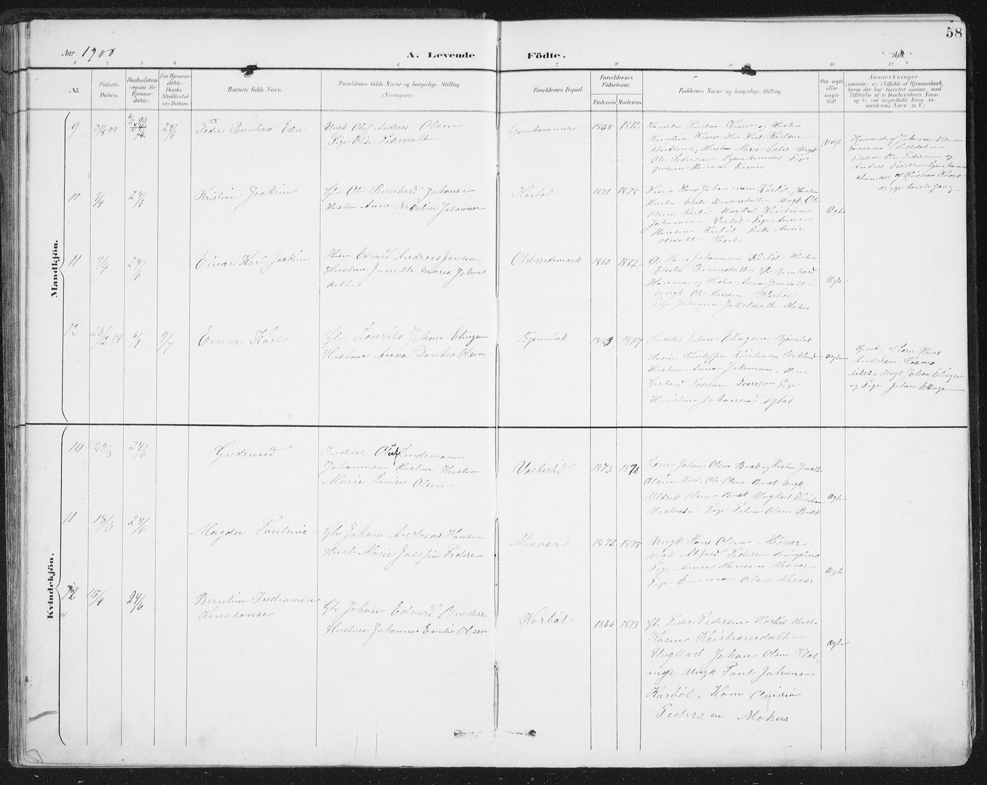 Ministerialprotokoller, klokkerbøker og fødselsregistre - Nordland, AV/SAT-A-1459/852/L0741: Parish register (official) no. 852A11, 1894-1917, p. 58