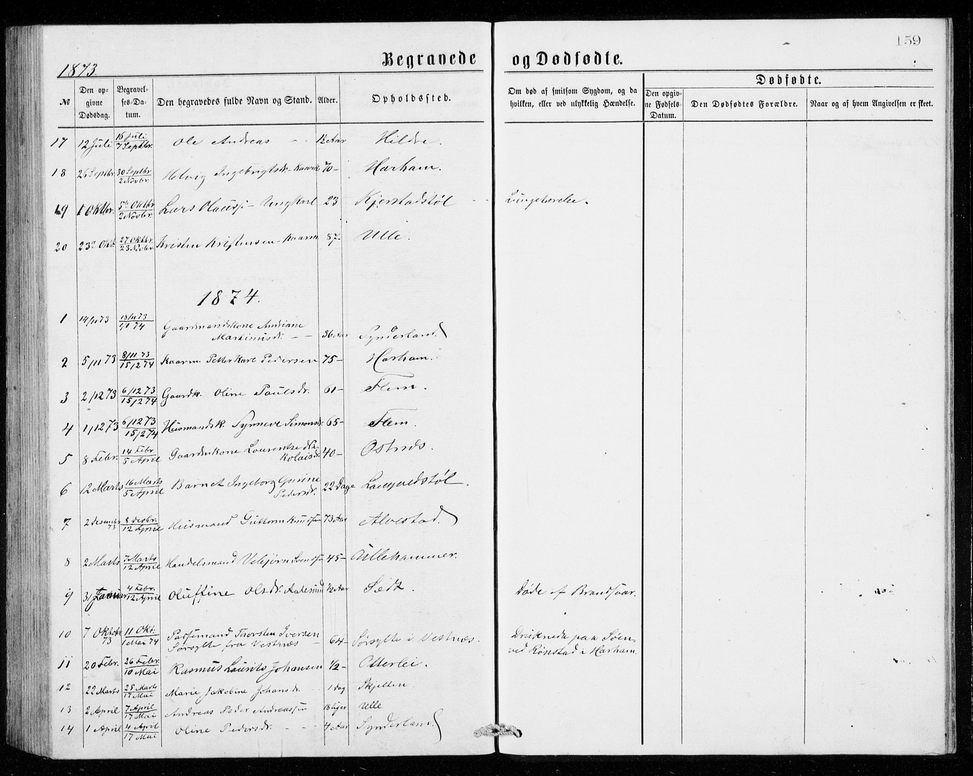 Ministerialprotokoller, klokkerbøker og fødselsregistre - Møre og Romsdal, AV/SAT-A-1454/536/L0509: Parish register (copy) no. 536C04, 1871-1881, p. 159