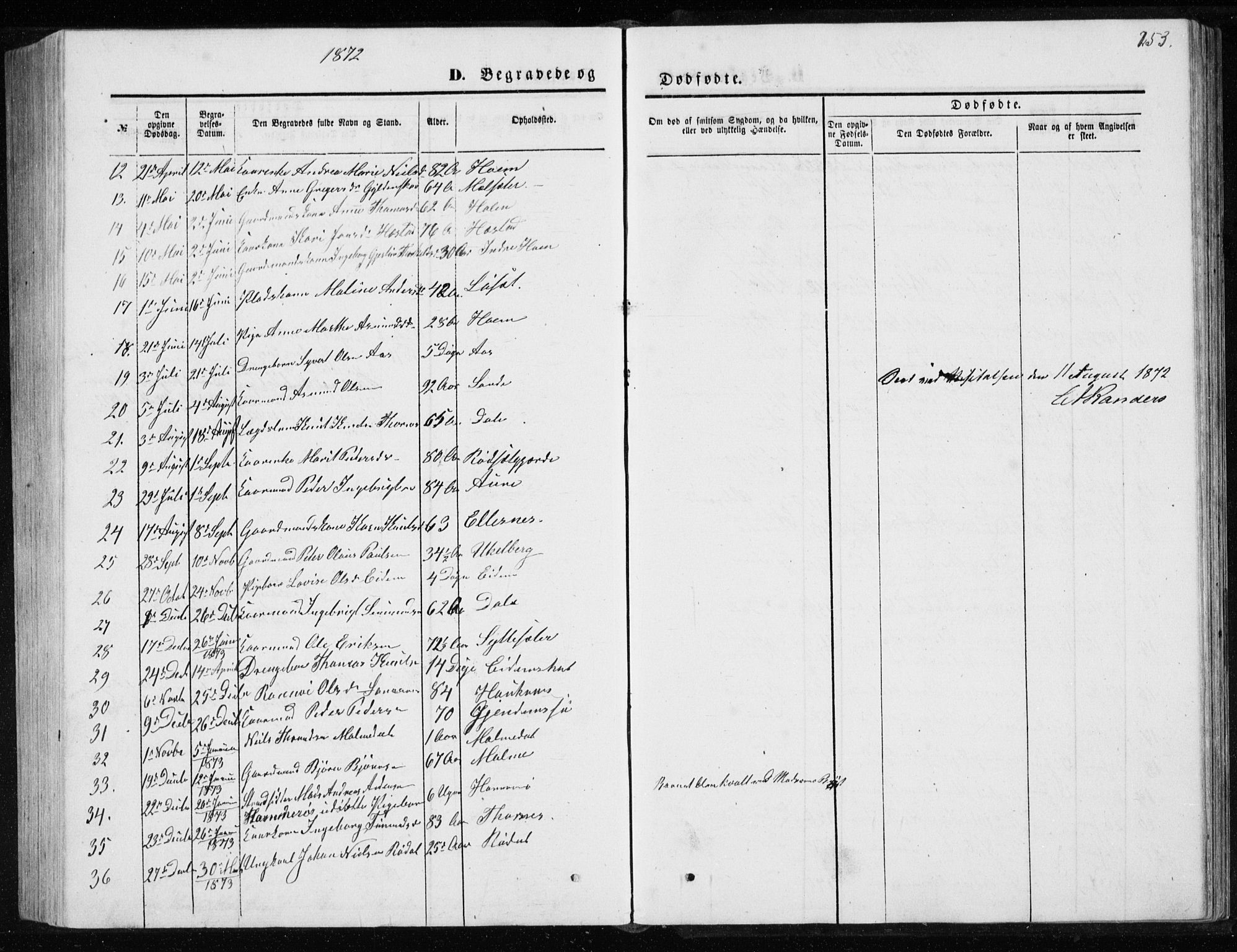 Ministerialprotokoller, klokkerbøker og fødselsregistre - Møre og Romsdal, AV/SAT-A-1454/565/L0754: Parish register (copy) no. 565C03, 1870-1896, p. 253