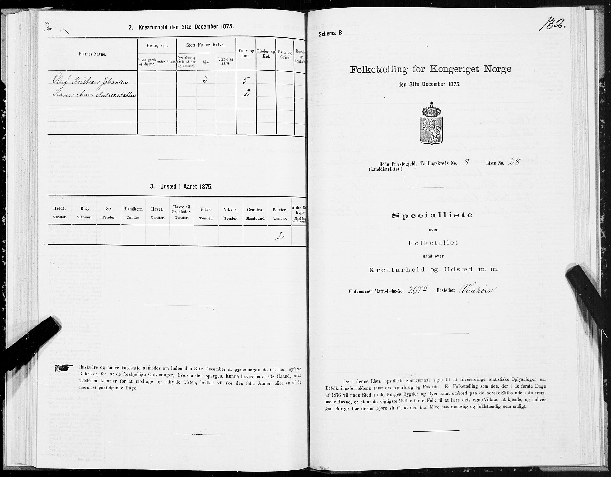 SAT, 1875 census for 1843L Bodø/Bodø, 1875, p. 4132