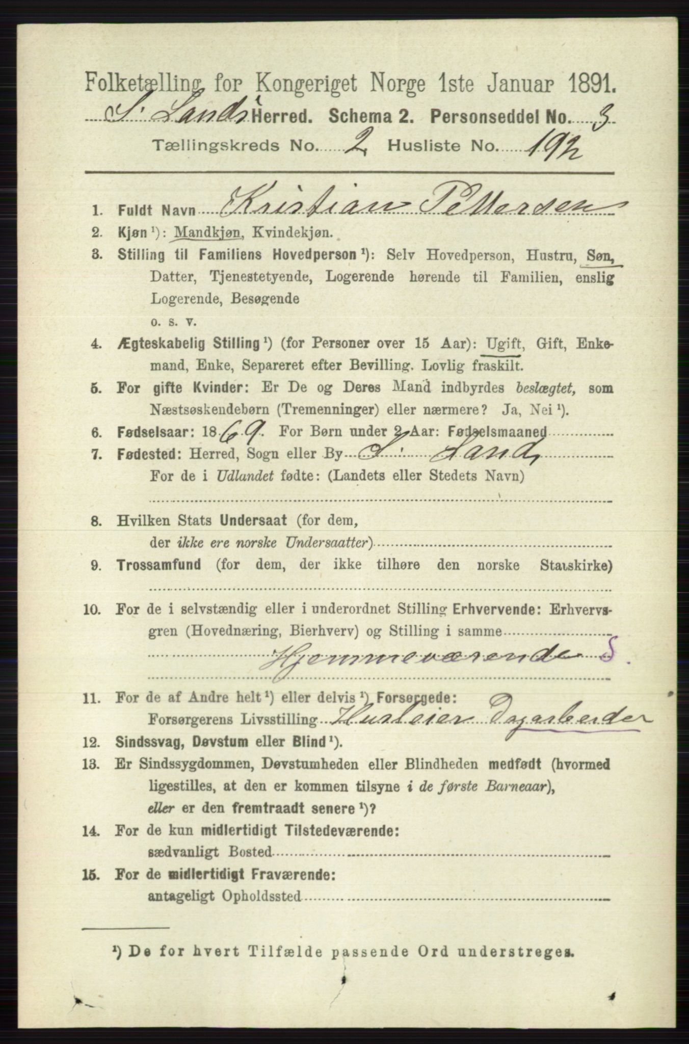 RA, 1891 census for 0536 Søndre Land, 1891, p. 2250