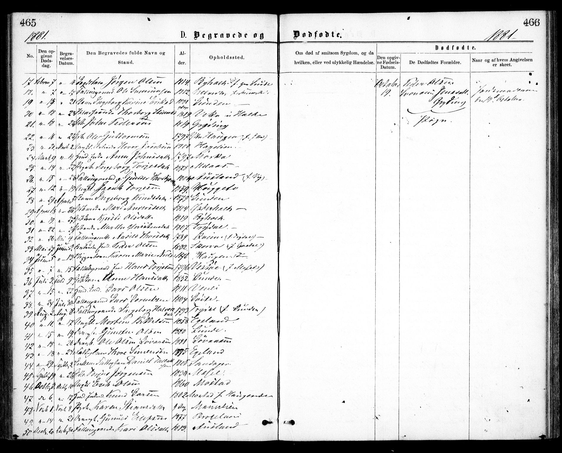 Gjerstad sokneprestkontor, AV/SAK-1111-0014/F/Fa/Faa/L0008: Parish register (official) no. A 8, 1876-1884, p. 465-466