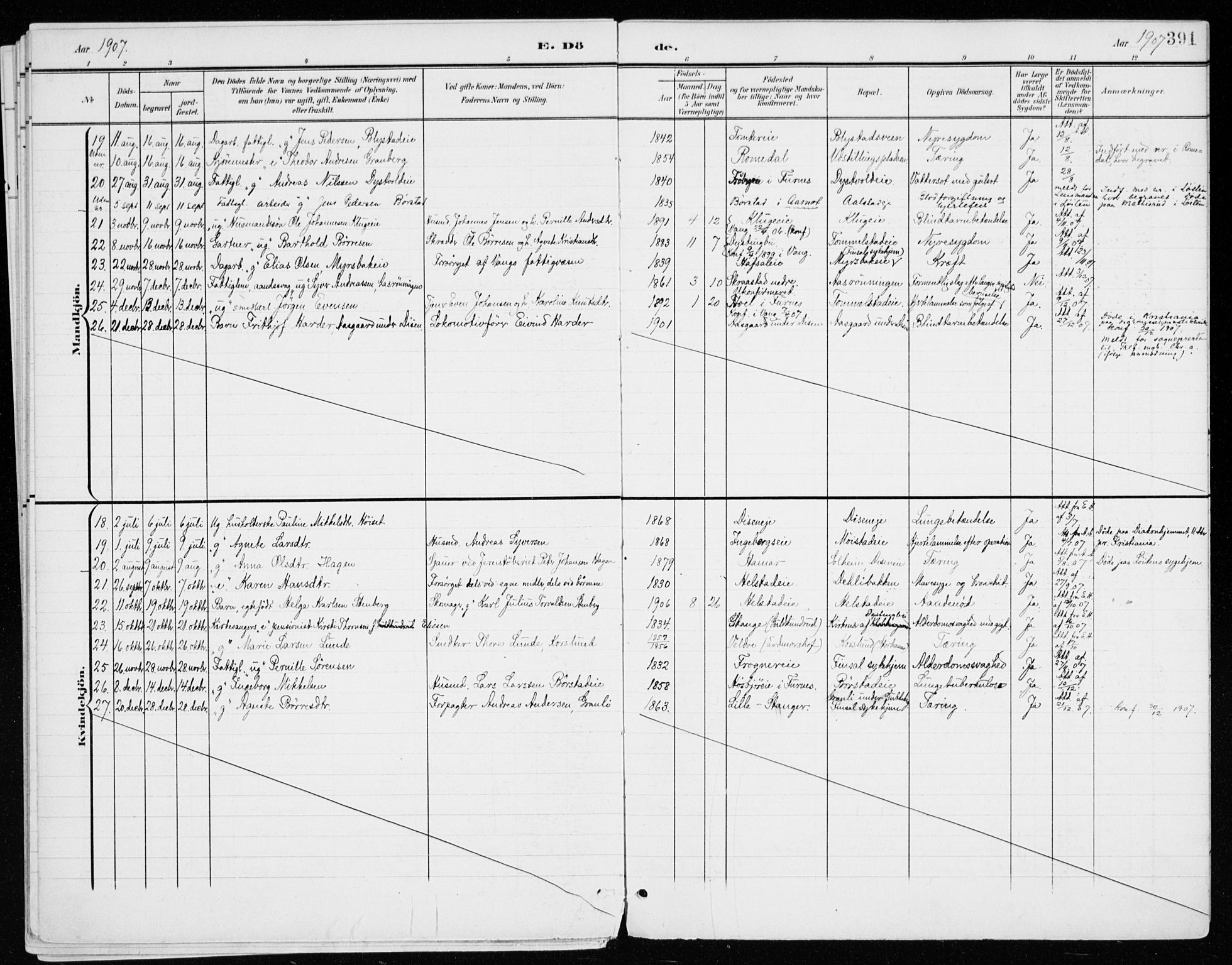 Vang prestekontor, Hedmark, AV/SAH-PREST-008/H/Ha/Haa/L0021: Parish register (official) no. 21, 1902-1917, p. 391