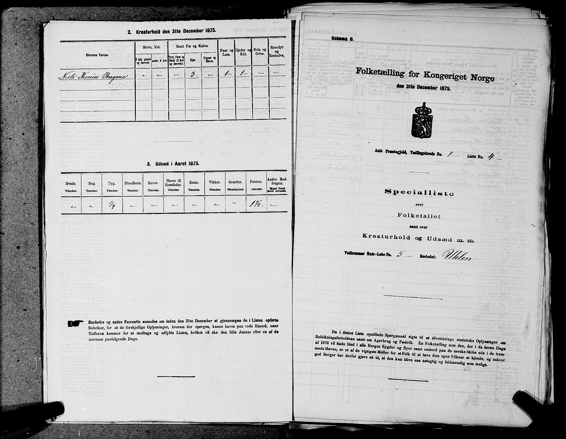 SAKO, 1875 census for 0619P Ål, 1875, p. 26