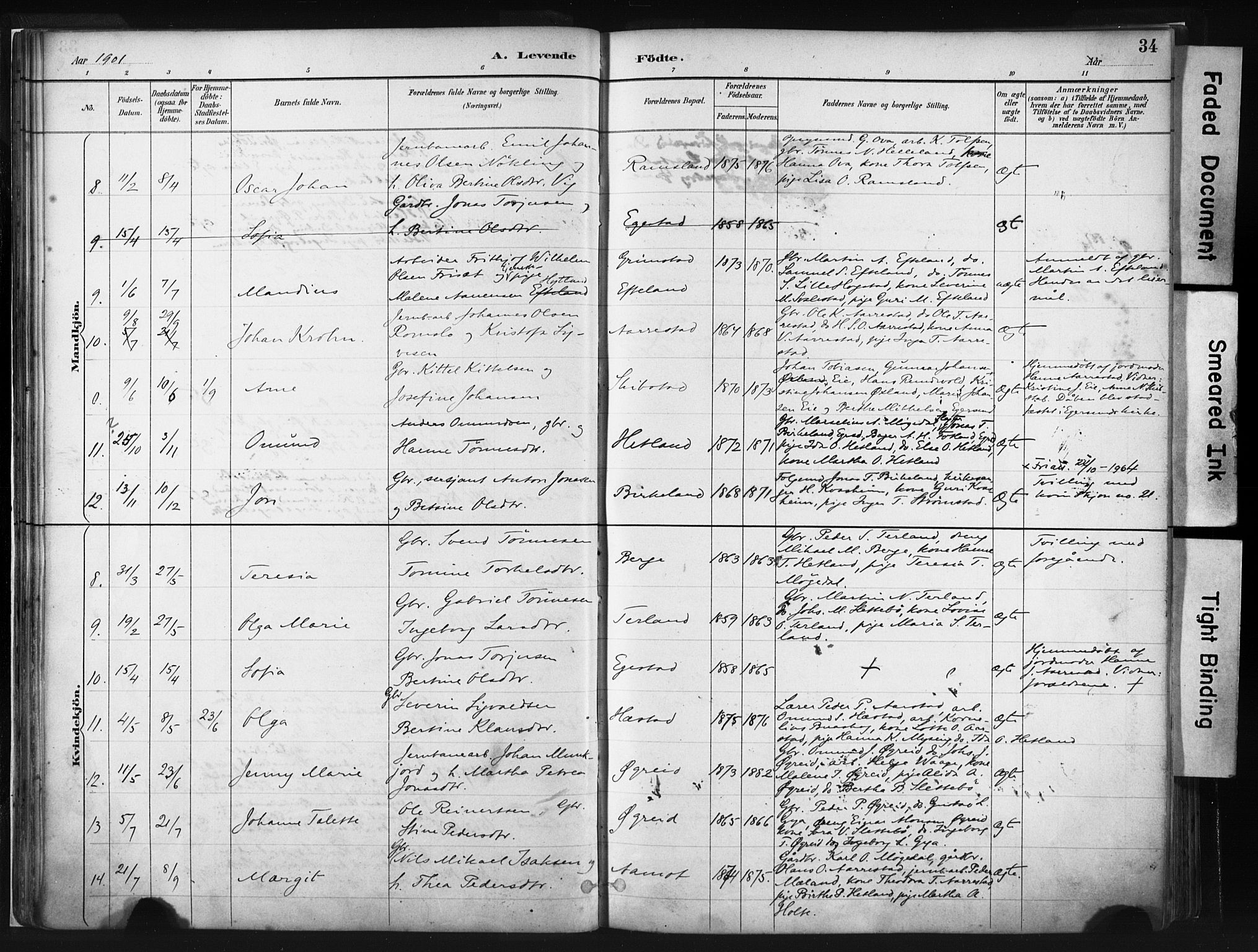 Helleland sokneprestkontor, AV/SAST-A-101810: Parish register (official) no. A 8, 1887-1907, p. 34