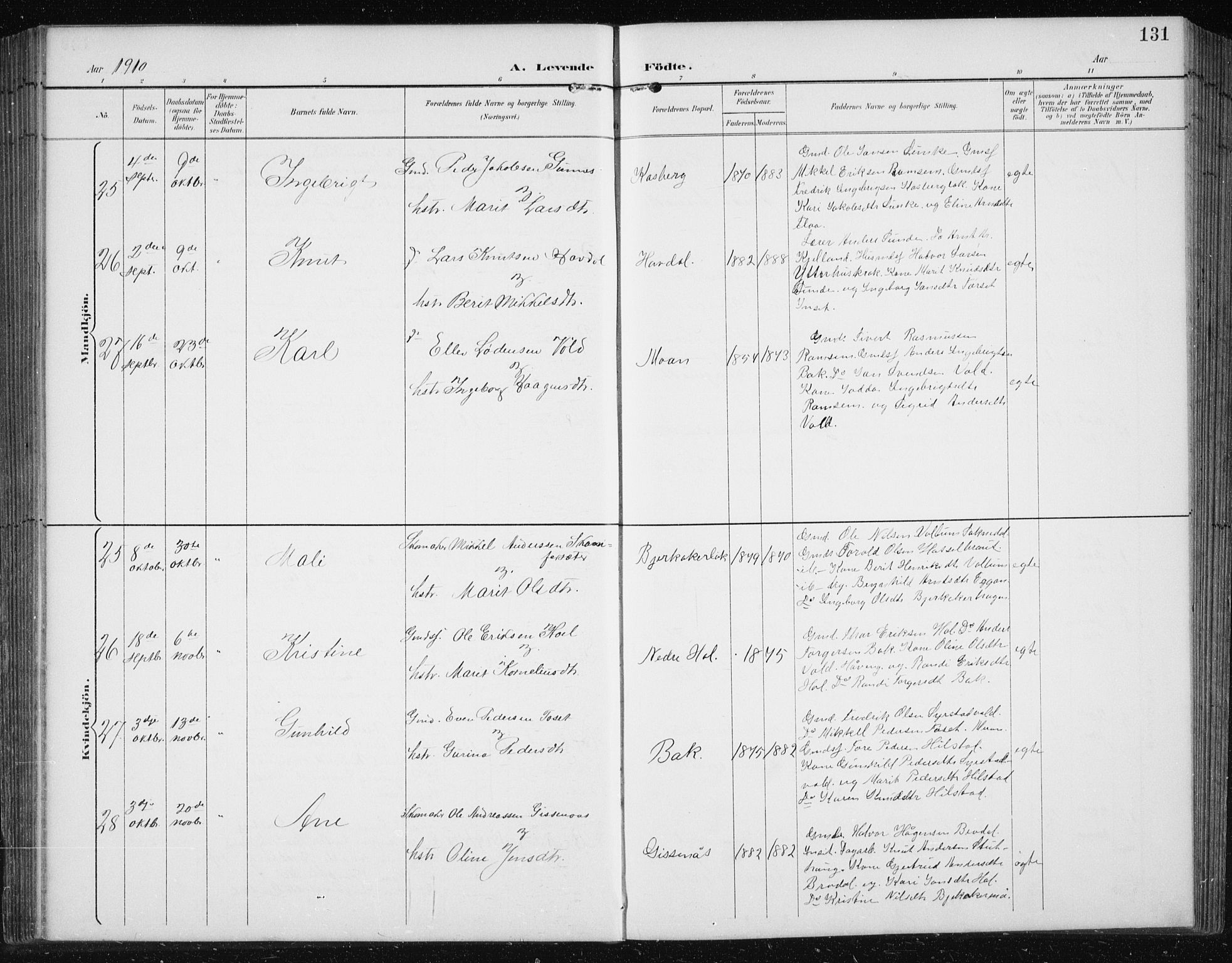 Ministerialprotokoller, klokkerbøker og fødselsregistre - Sør-Trøndelag, SAT/A-1456/674/L0876: Parish register (copy) no. 674C03, 1892-1912, p. 131
