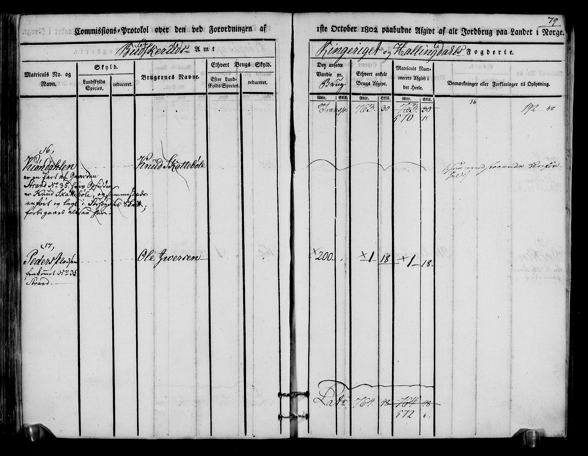 Rentekammeret inntil 1814, Realistisk ordnet avdeling, AV/RA-EA-4070/N/Ne/Nea/L0048: Ringerike og Hallingdal fogderi. Kommisjonsprotokoll for Ål prestegjeld, 1803, p. 83