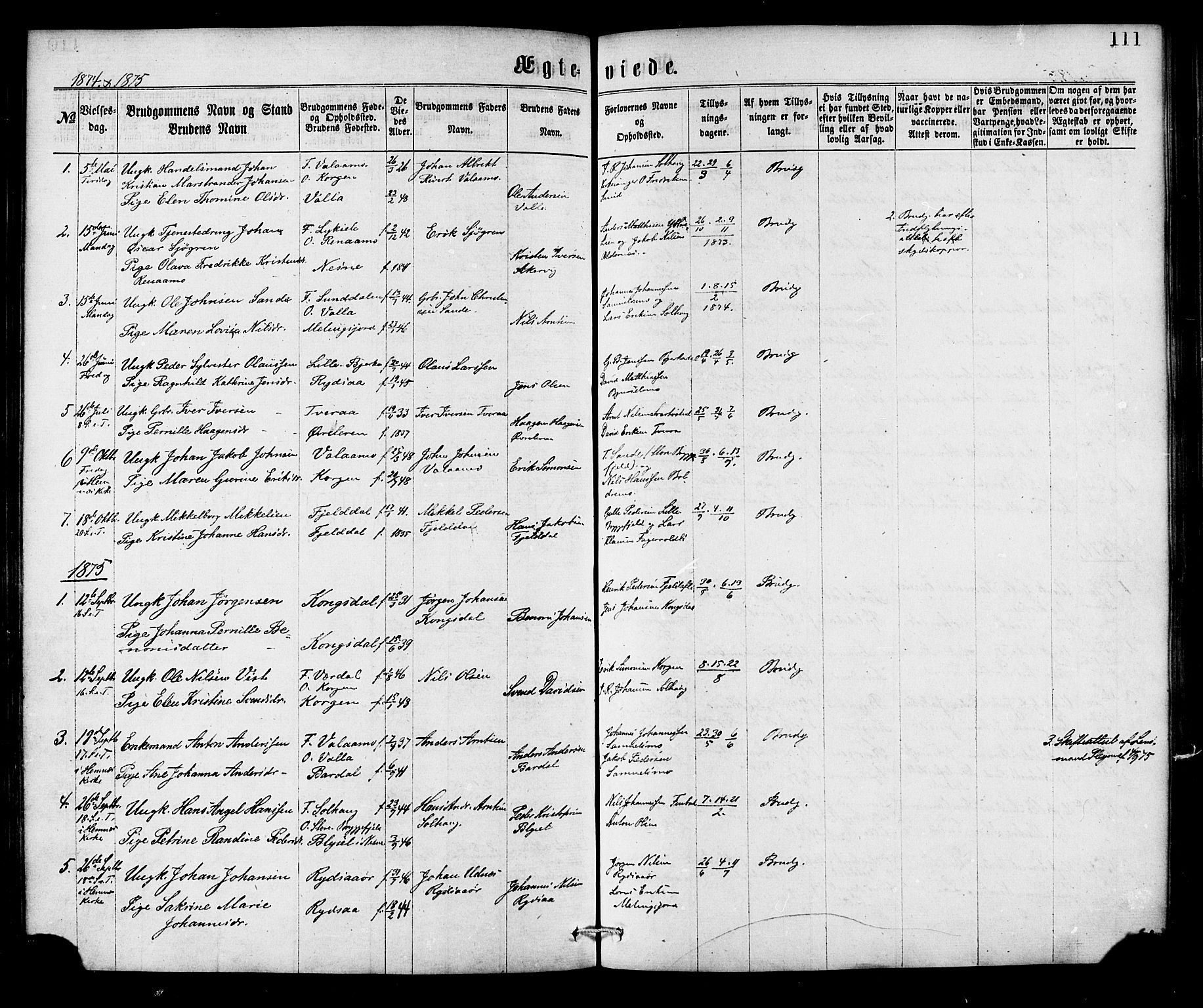 Ministerialprotokoller, klokkerbøker og fødselsregistre - Nordland, AV/SAT-A-1459/826/L0378: Parish register (official) no. 826A01, 1865-1878, p. 111