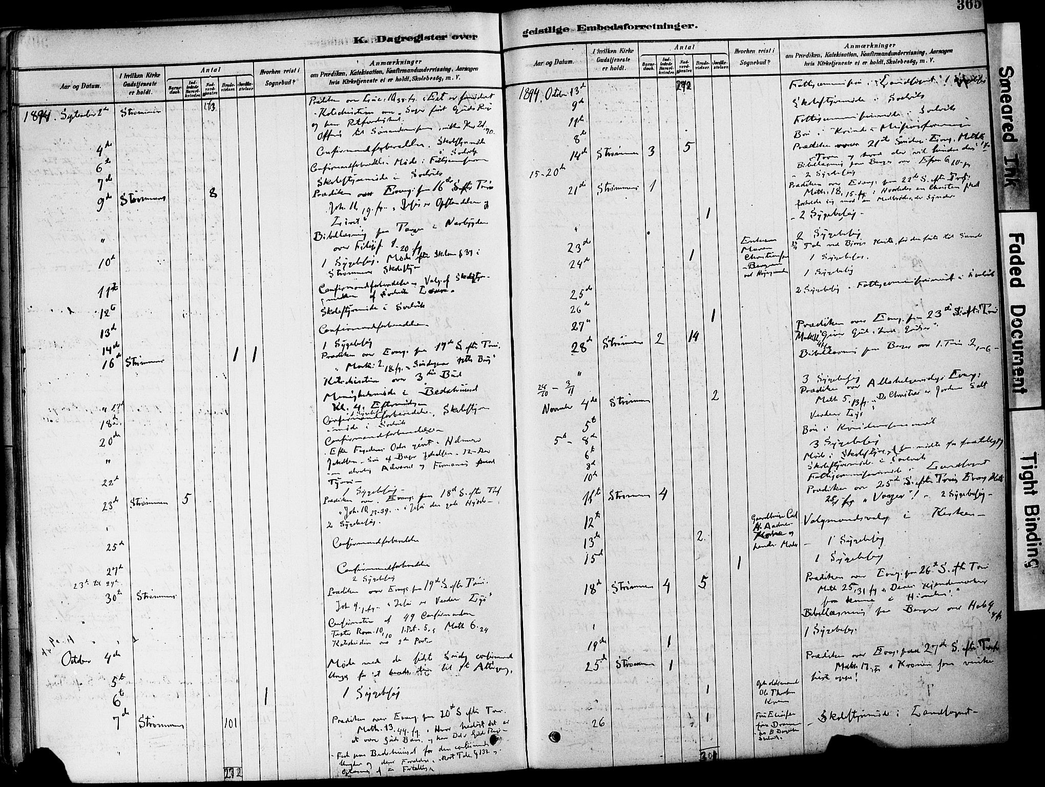 Strømm kirkebøker, AV/SAKO-A-322/F/Fa/L0004: Parish register (official) no. I 4, 1878-1899, p. 365